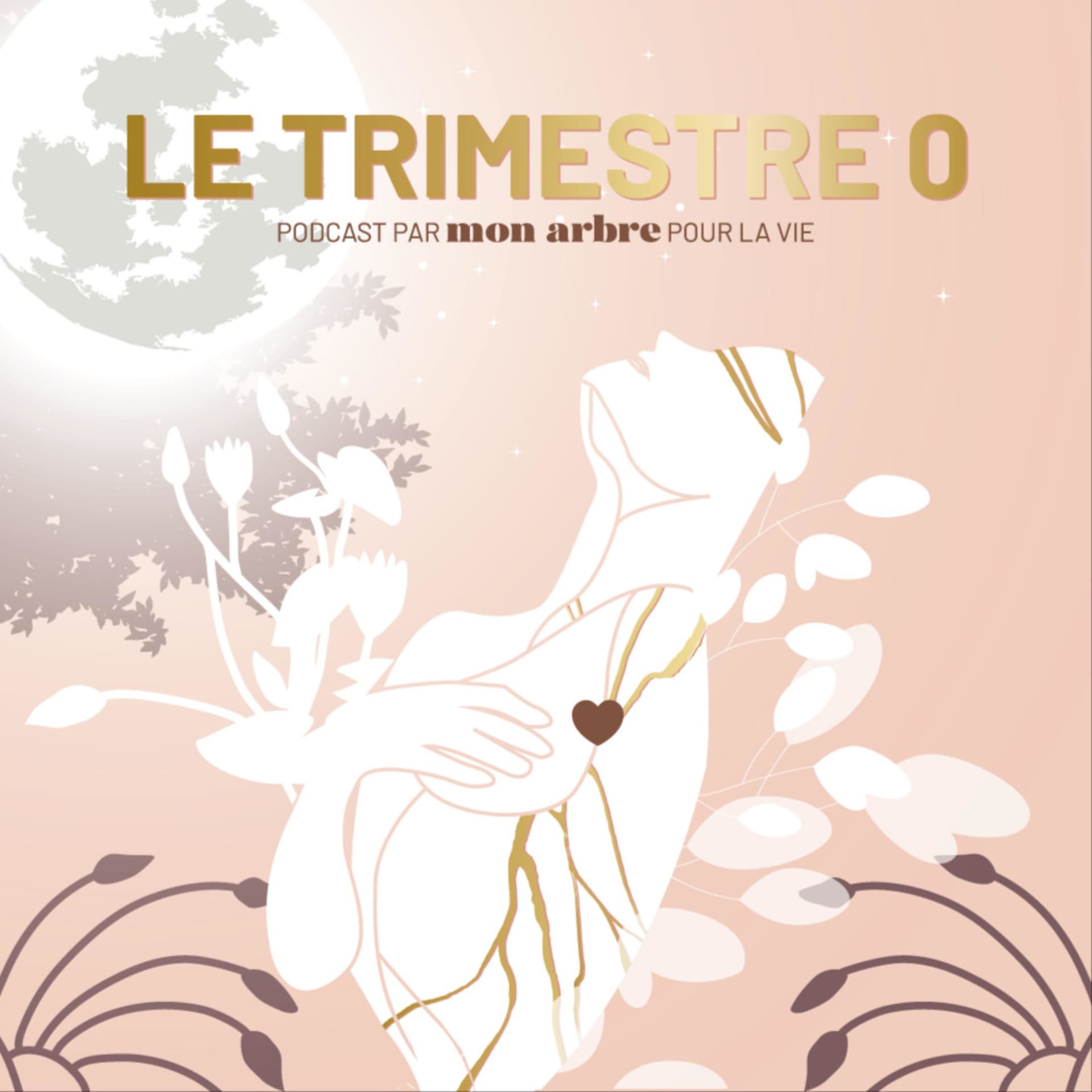 Le Trimestre 0 - Podcasts