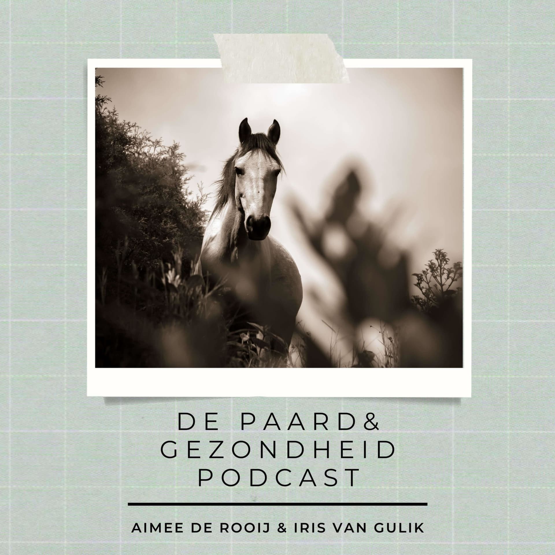 De Paard & Gezondheid podcast - Podcasts