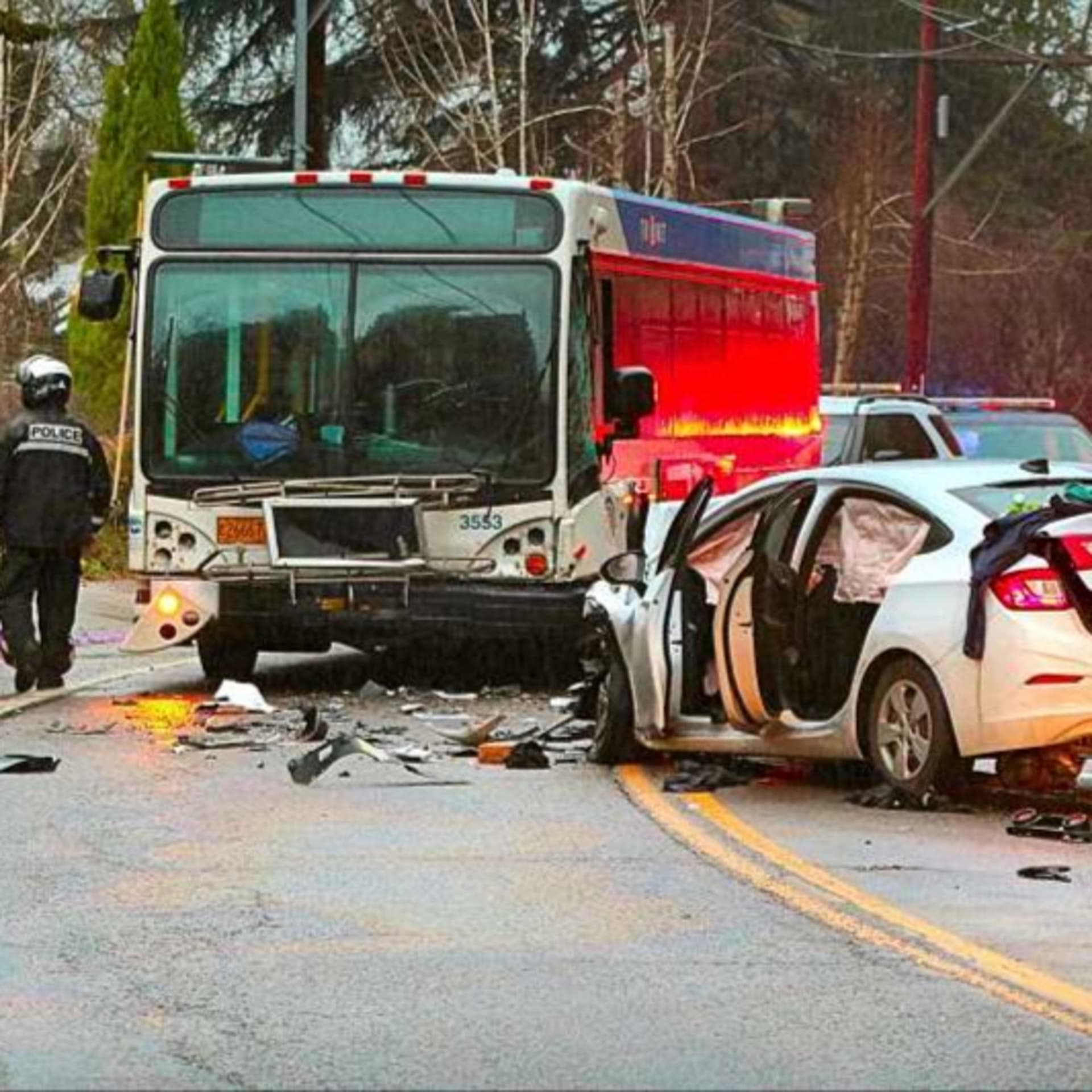 ALYOURPASTER'S TRIMET