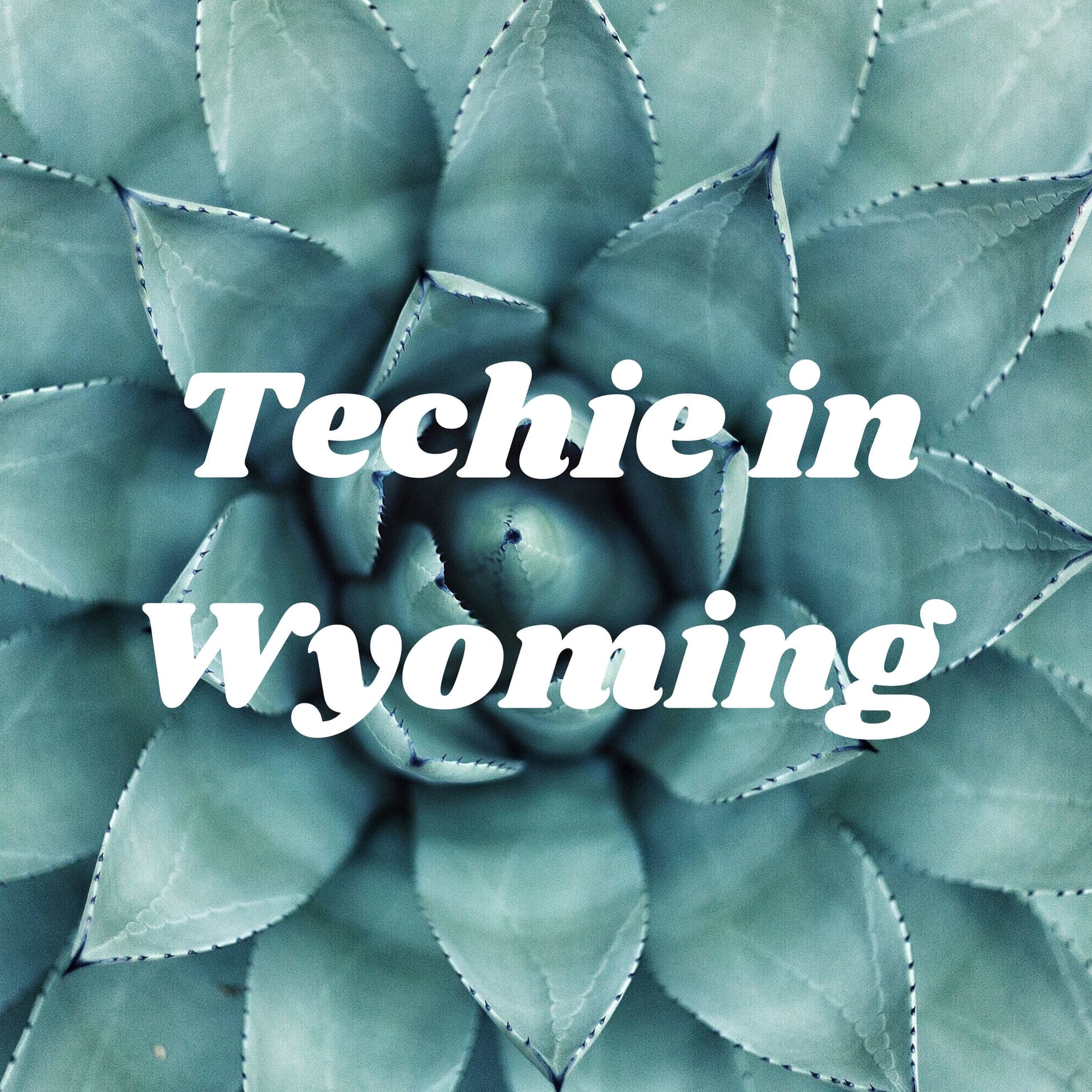 Techie in Wyoming - Podcasts