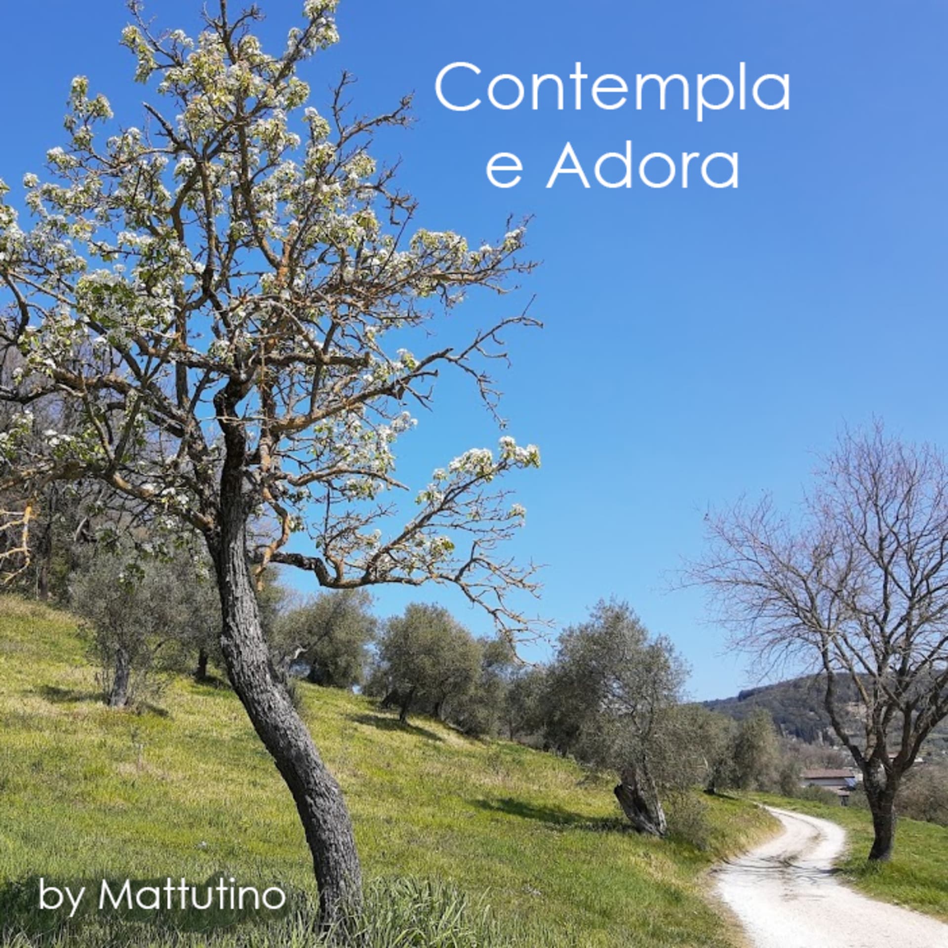 Contempla e adora - Podcast