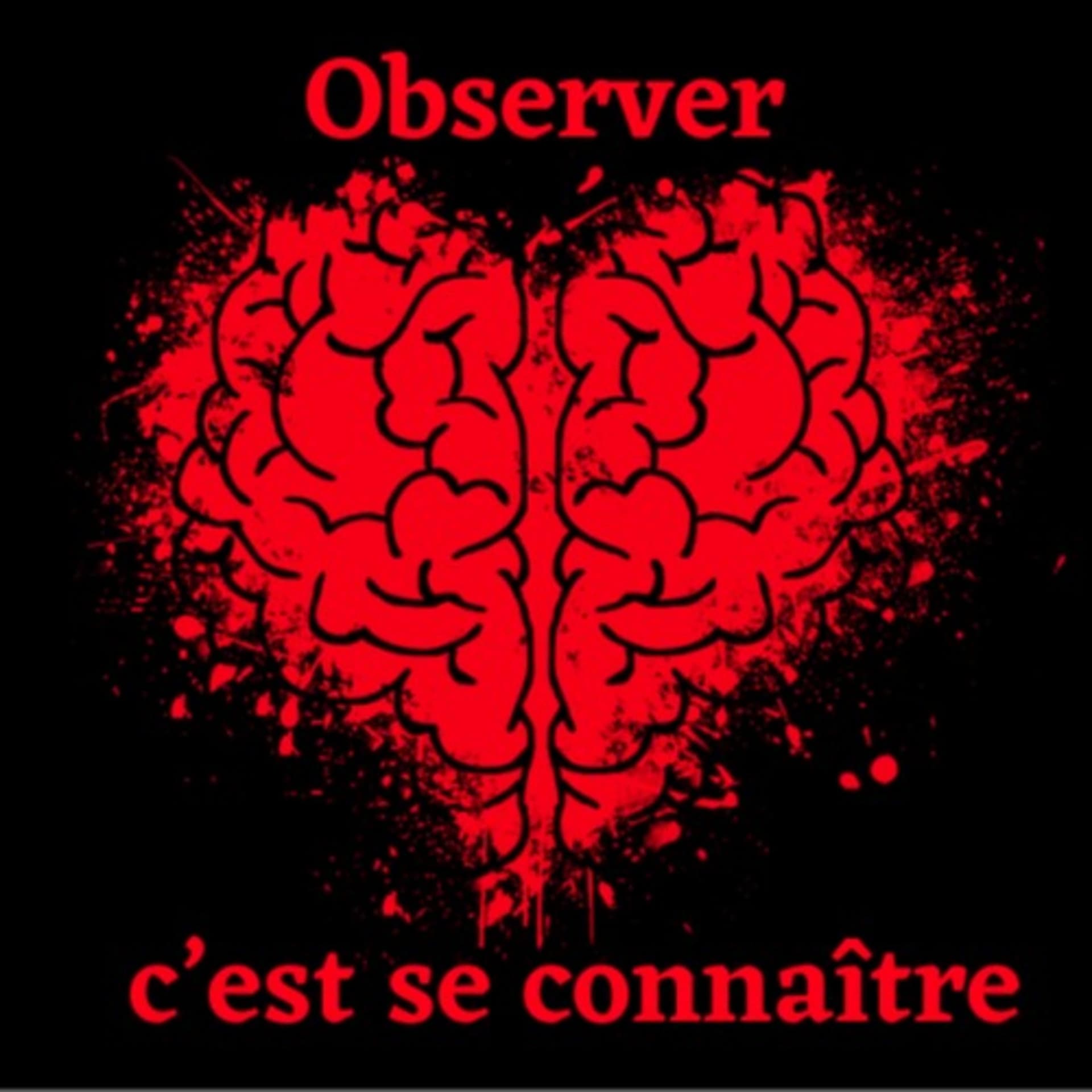 Observer C'est Se Connaître - Podcasts