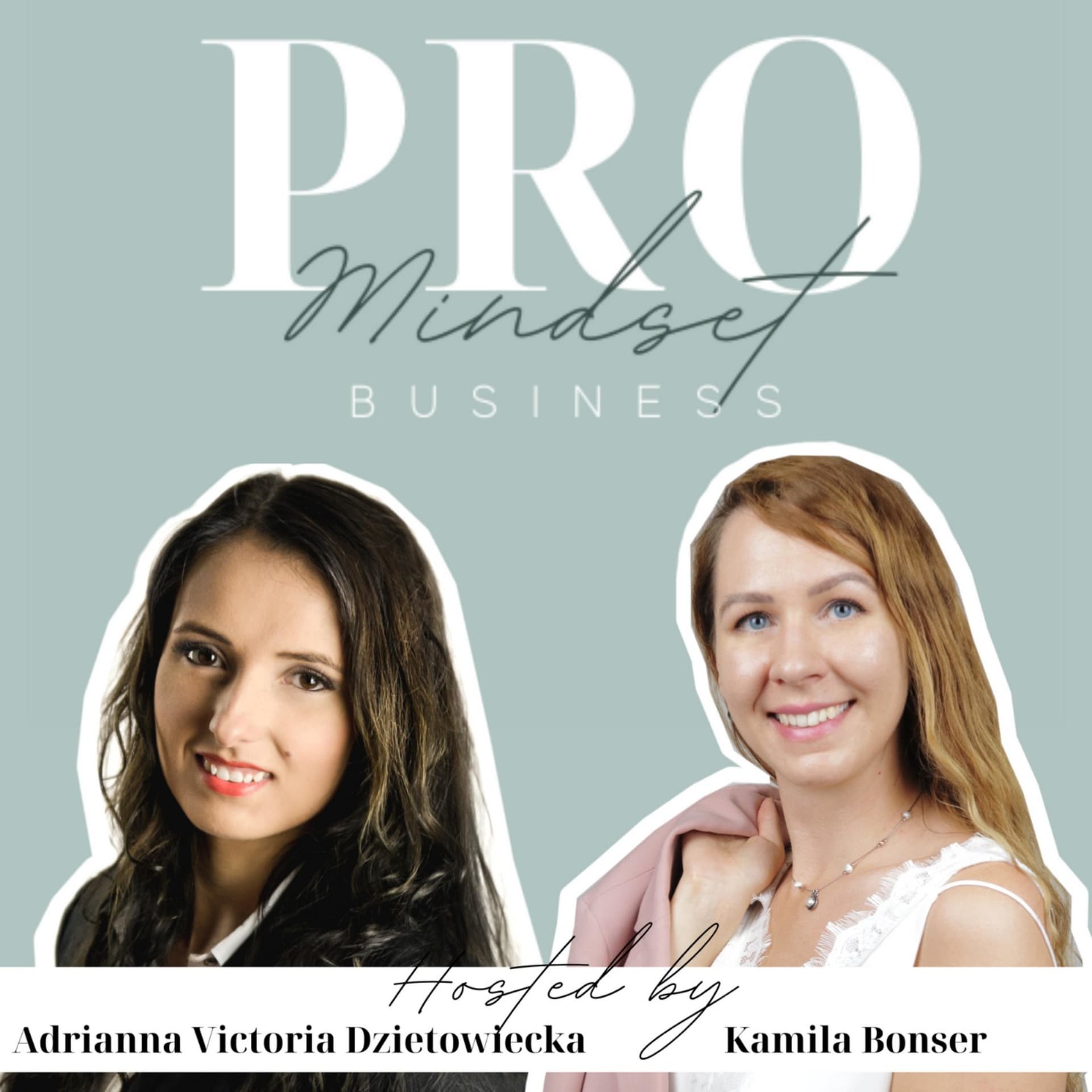 PRO Business Mindset - Podcasts