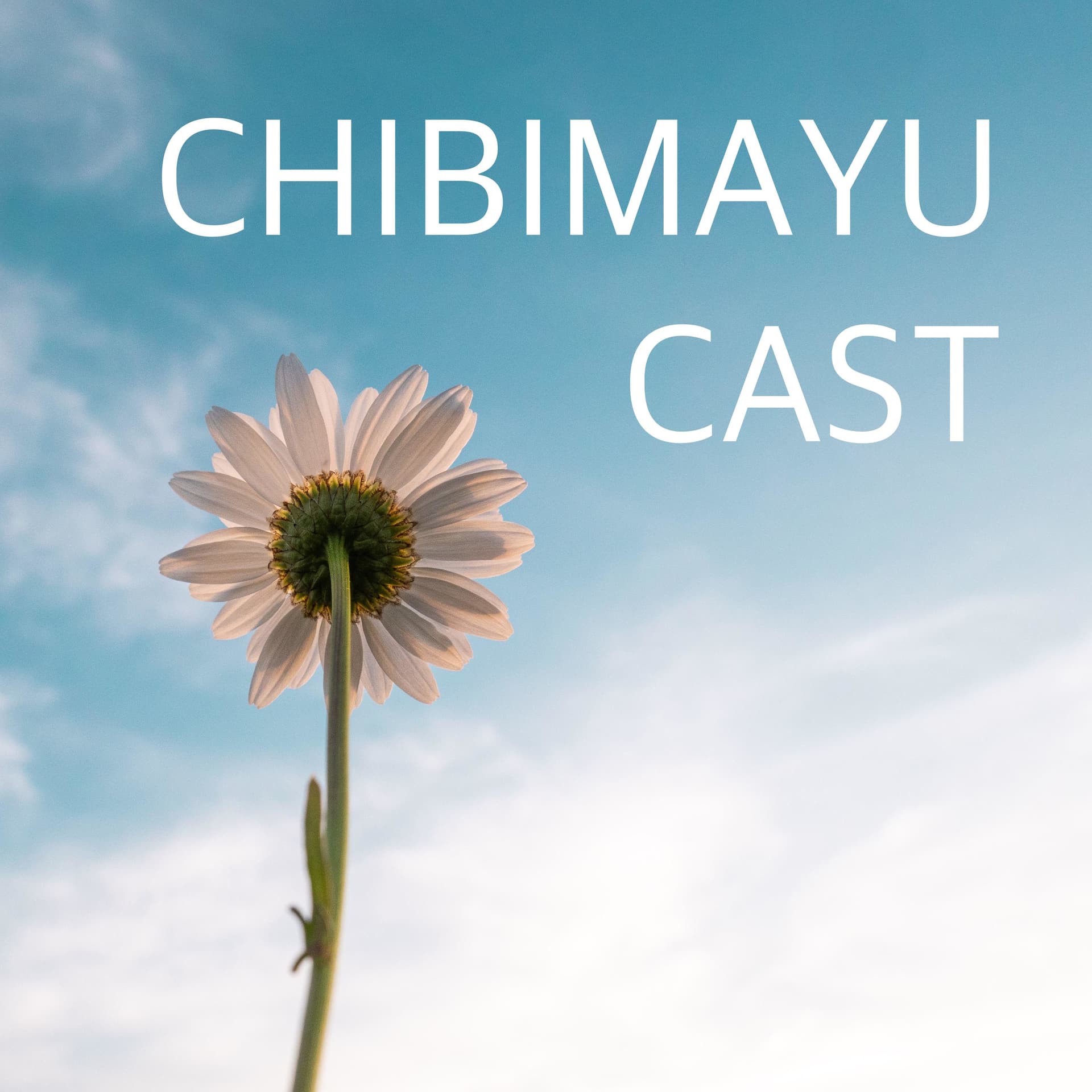 CHIBIMAYU CAST - Podcasts