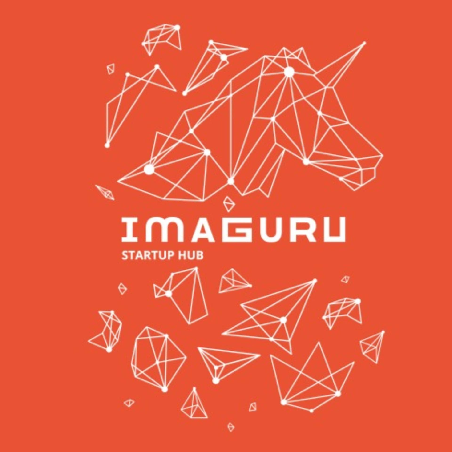 Imaguru Startup HUB - Подкасты