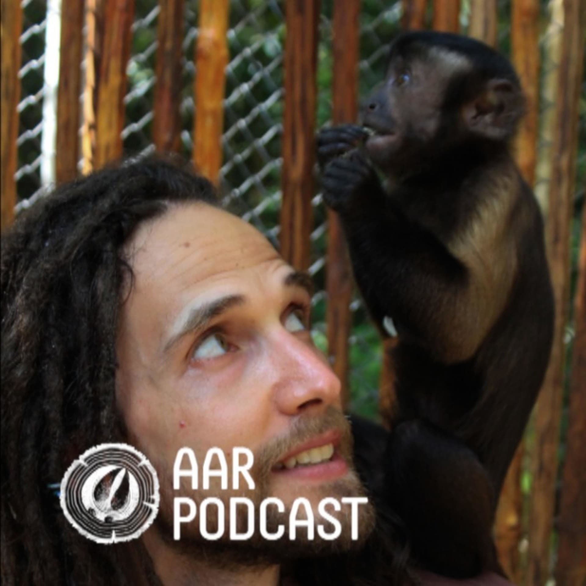 AAR PODCAST by Animalito Records - Podcasts