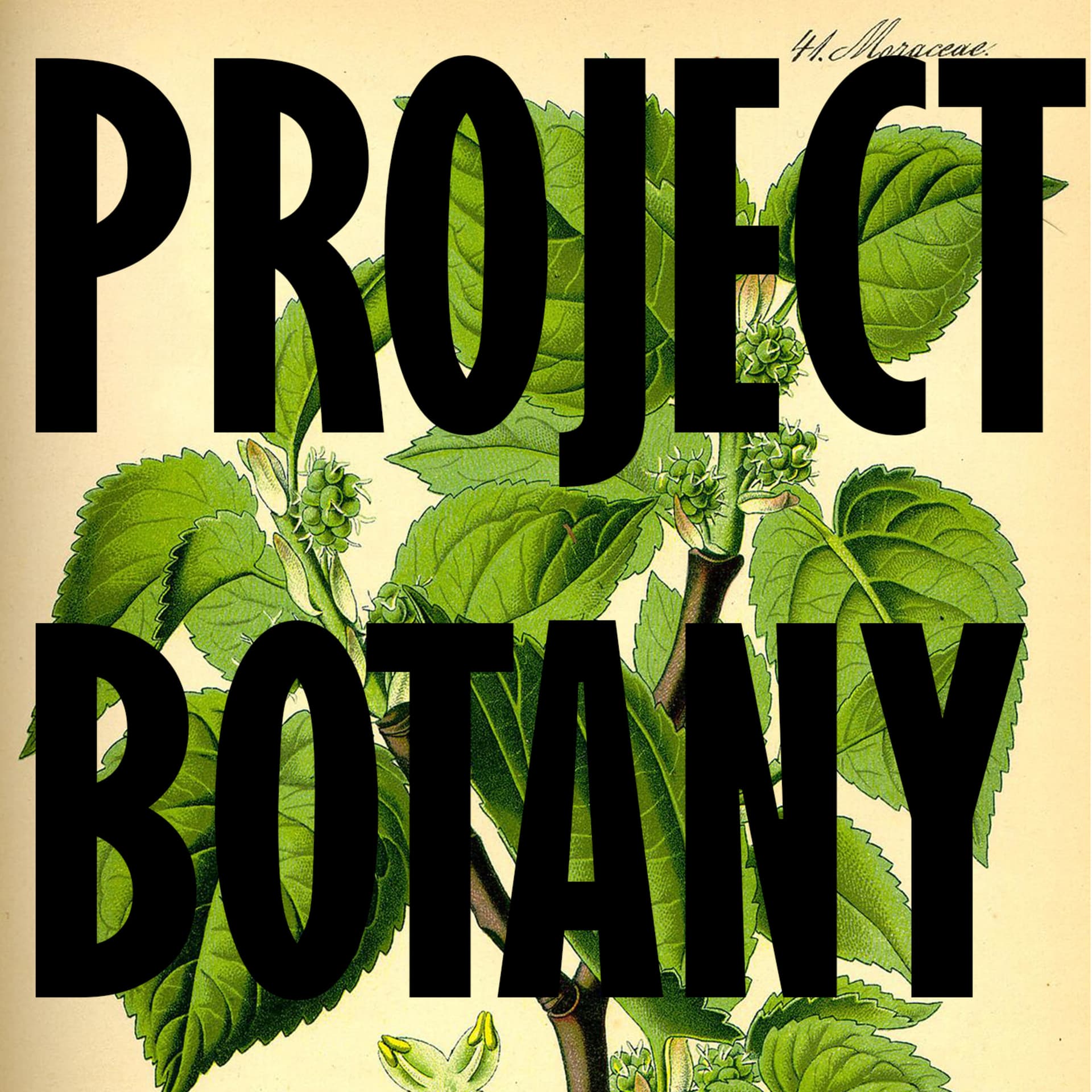Project Botany - Podcasts