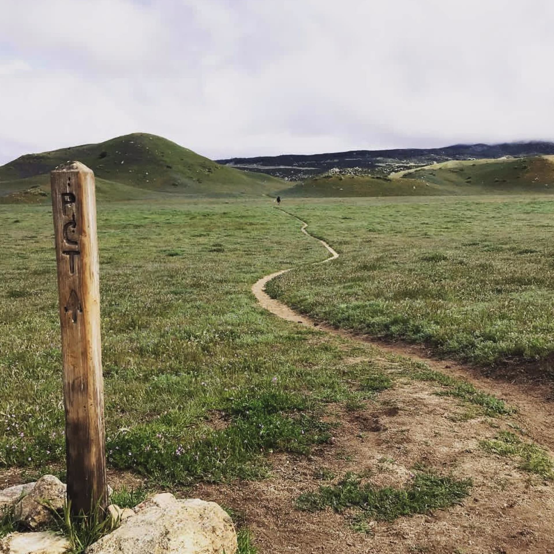 Trail and Errors - Podcasts