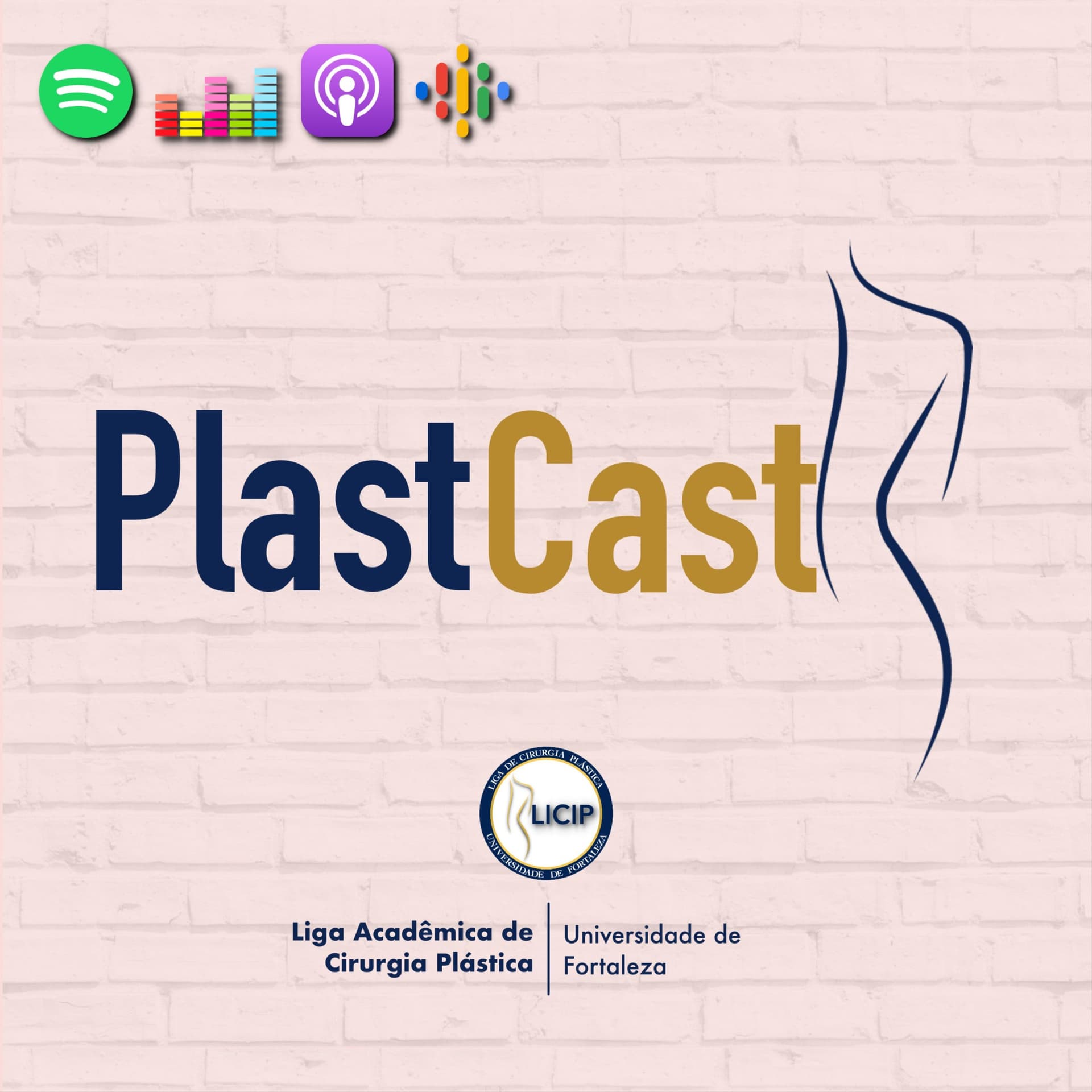 PlastCast - Podcasts