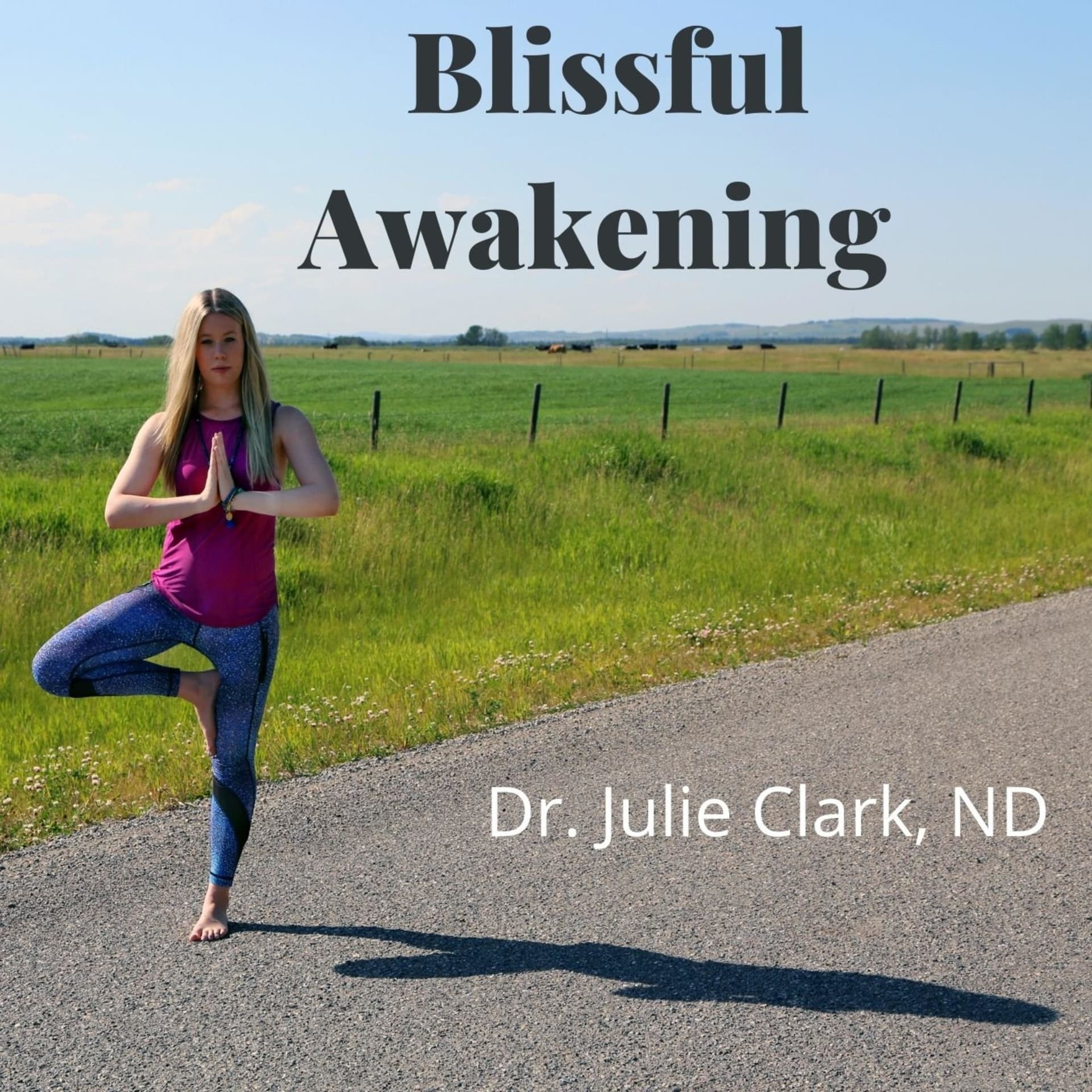 Blissful Awakening - Podcasts