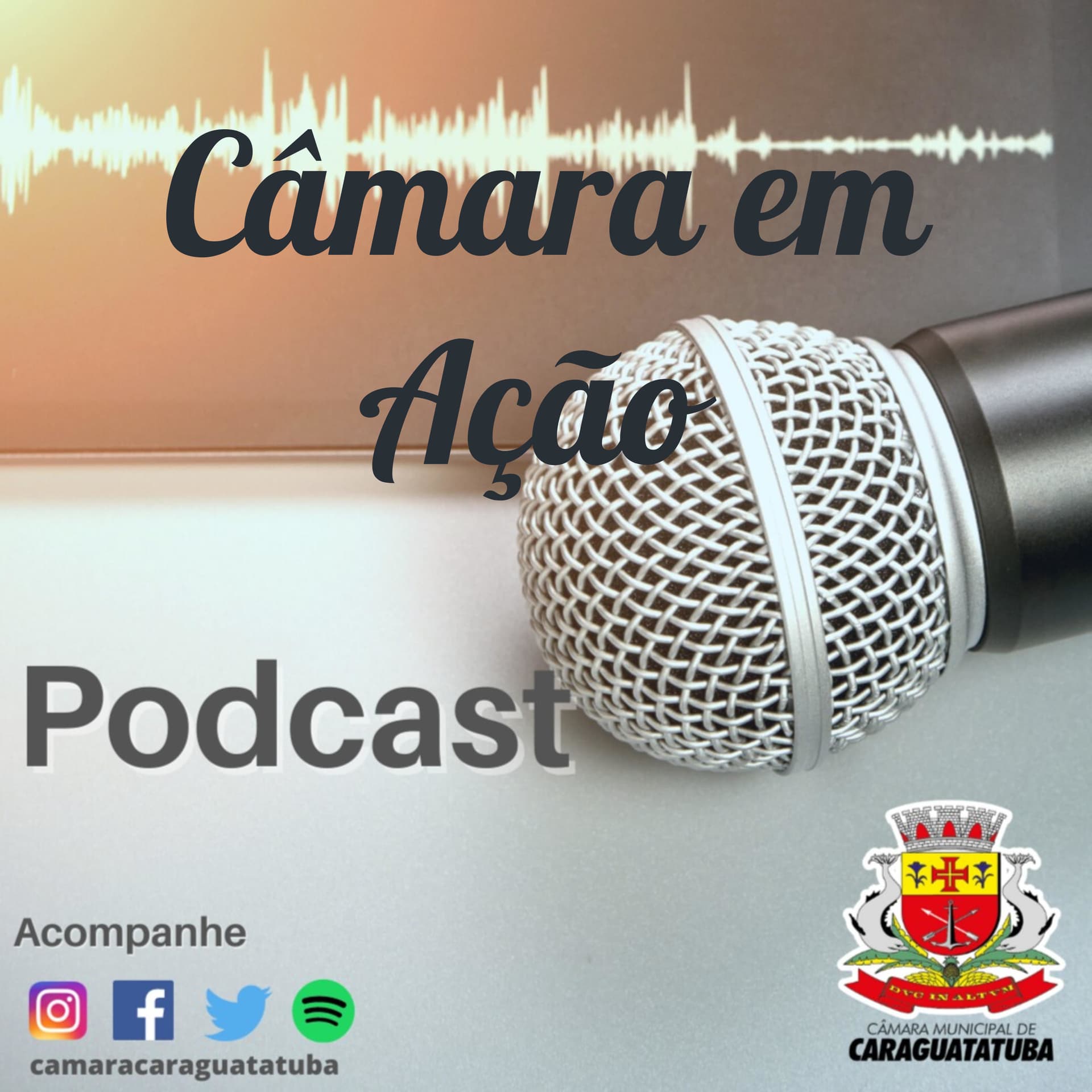 Câmara em Ação