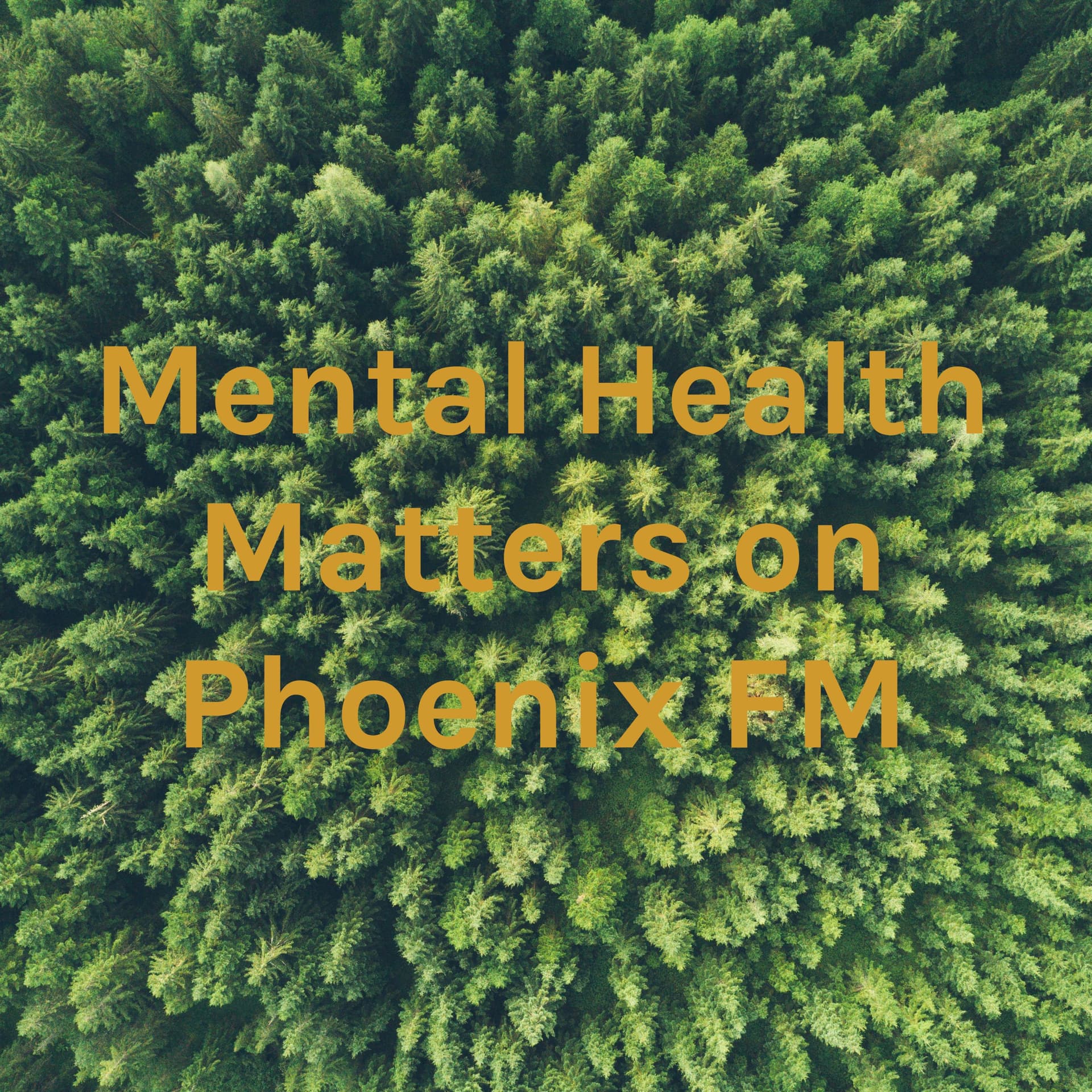 Mental Health Matters on Phoenix FM - Podcasts