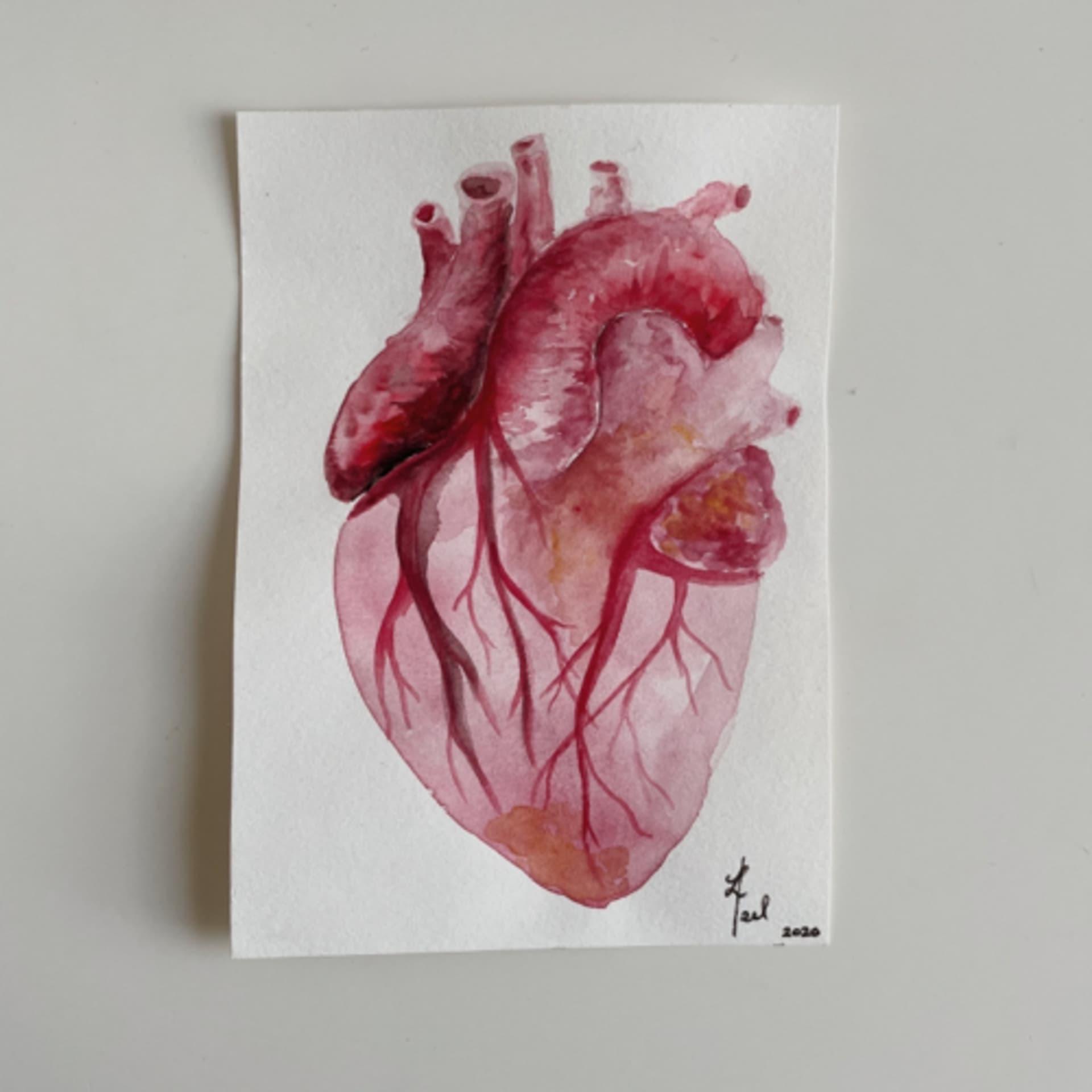 medHerzblutđź«€ - Podcasts