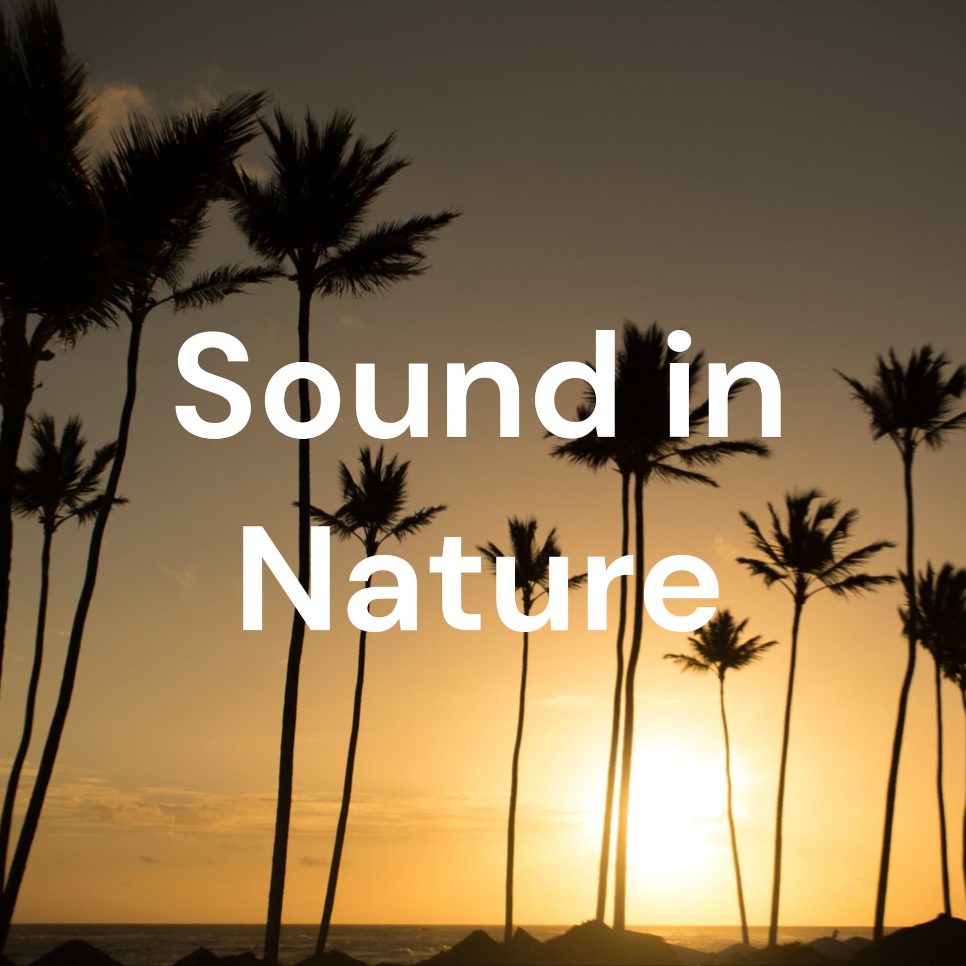Sound in Nature Lite - ポッドキャスト