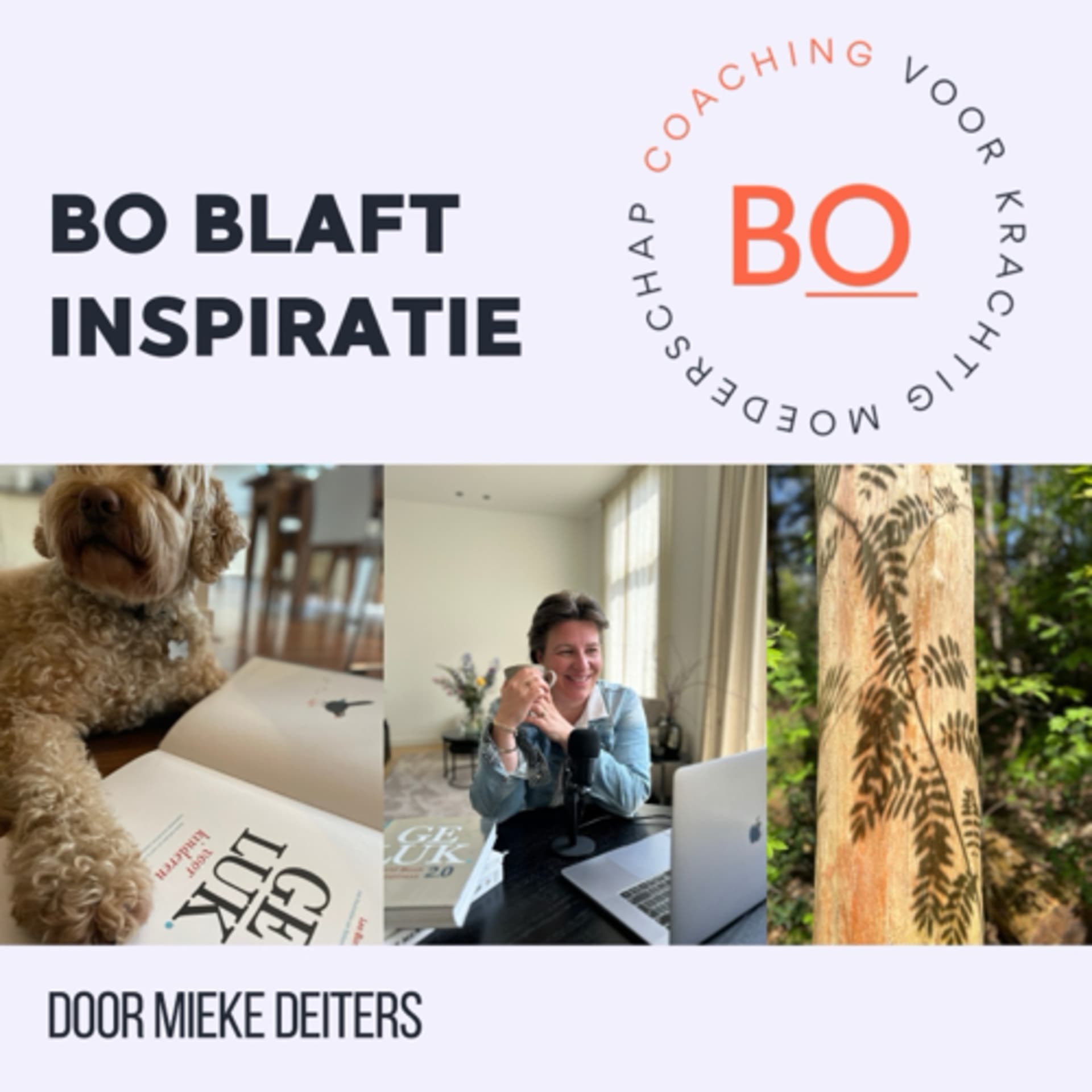 BO Blaft Inspiratie ❤️ - Podcasts