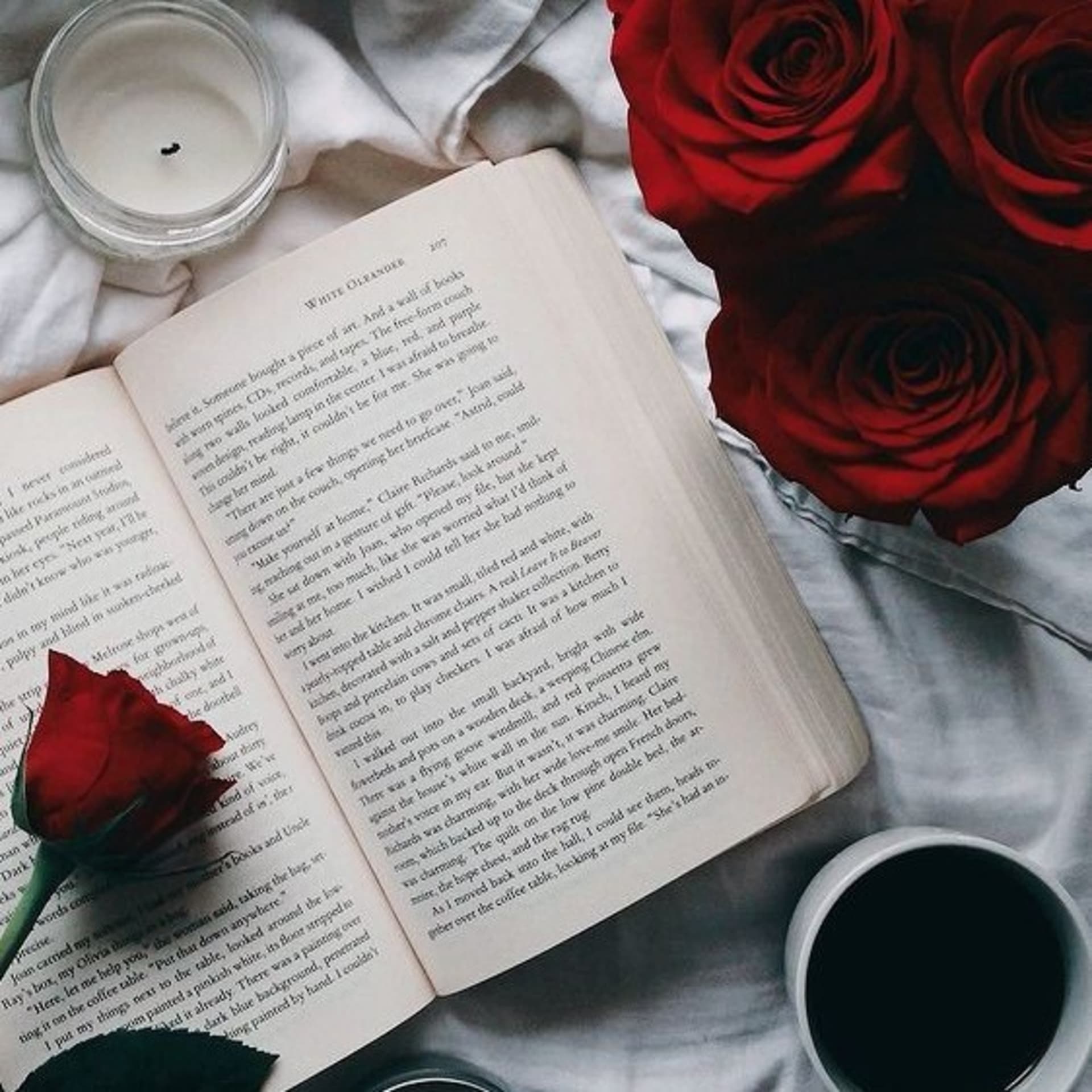 Fênix Flor Textos Autorais ✨