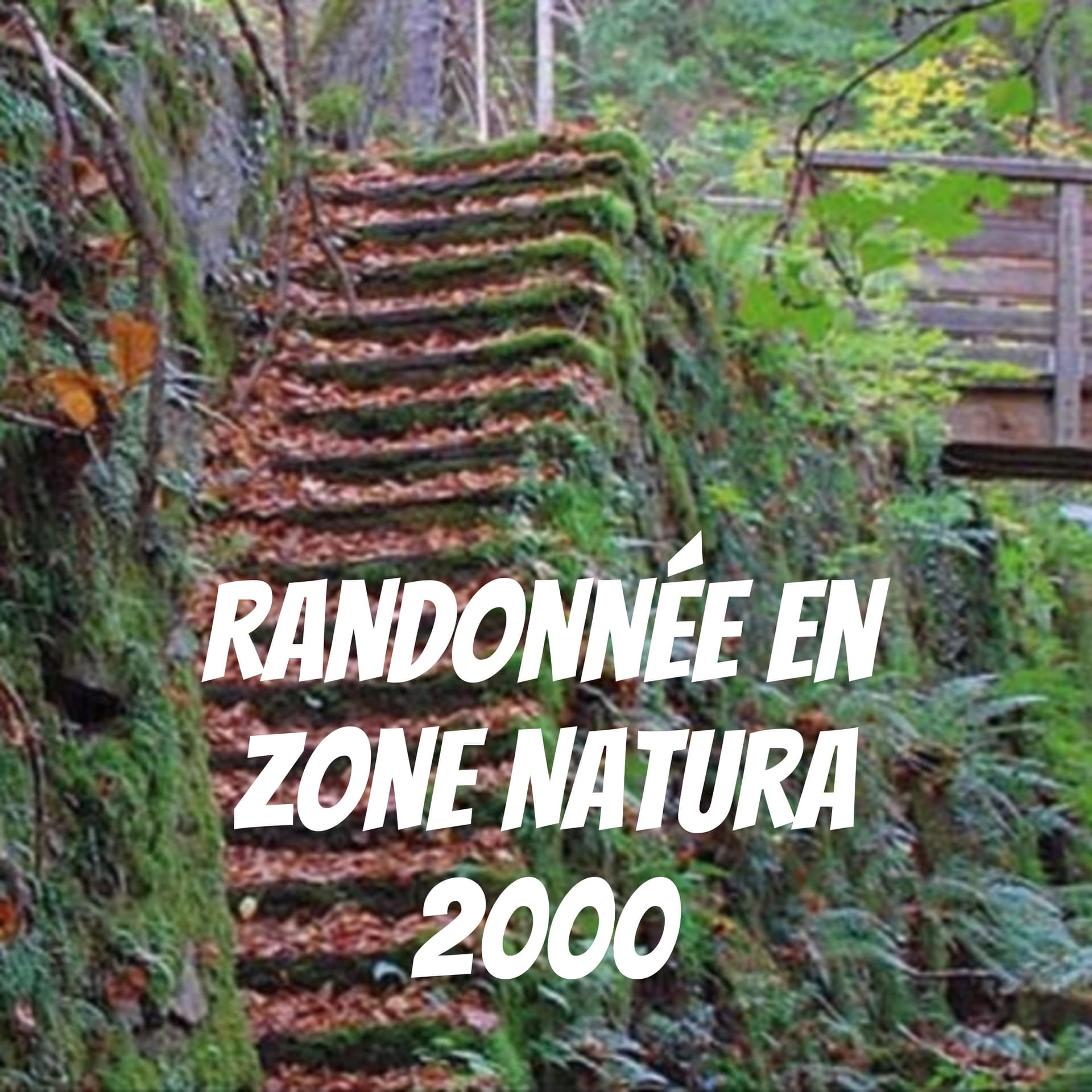 Randonnée en zone Natura 2000 à Esch-sur-Alzette - Podcast