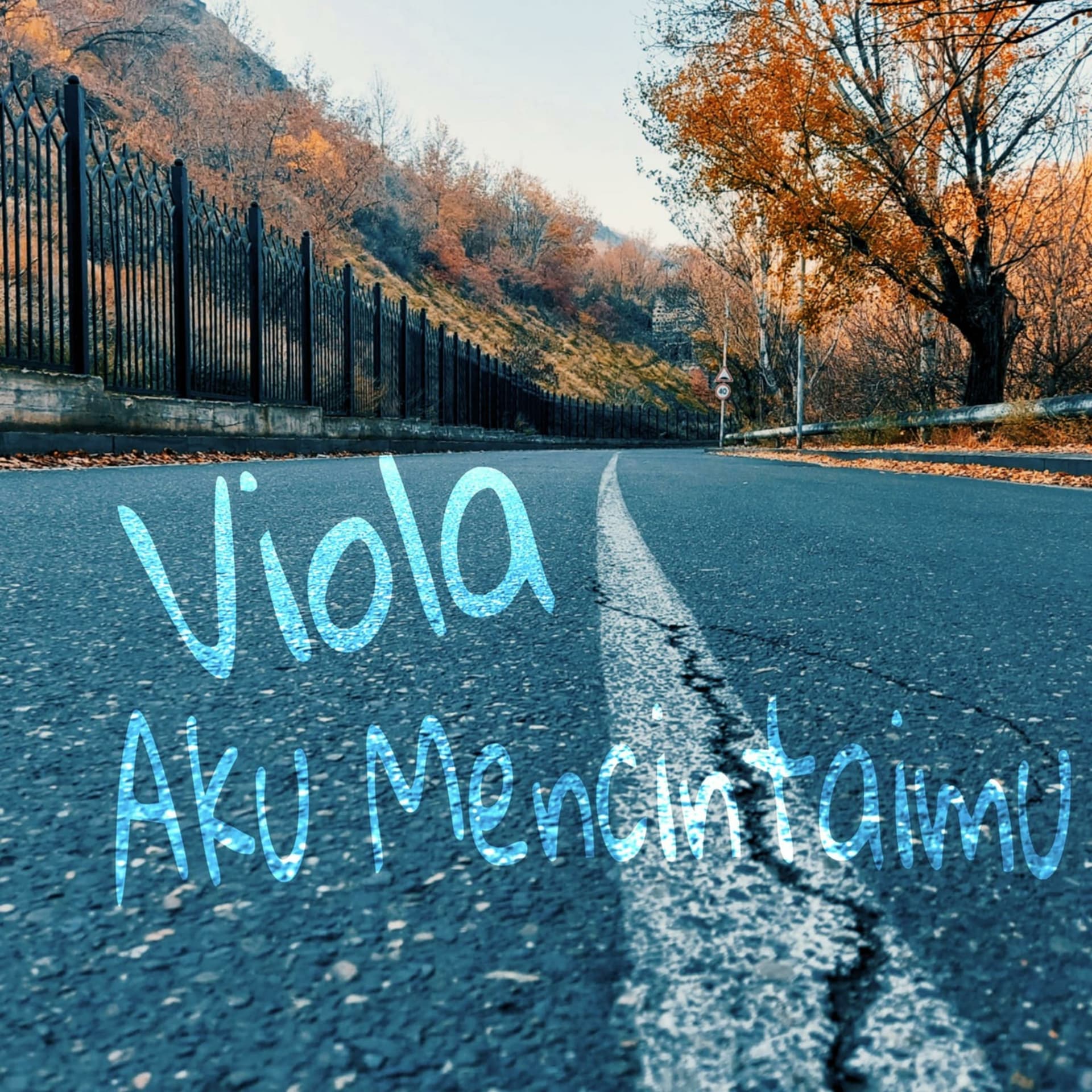 Budi Vio - Podcasts
