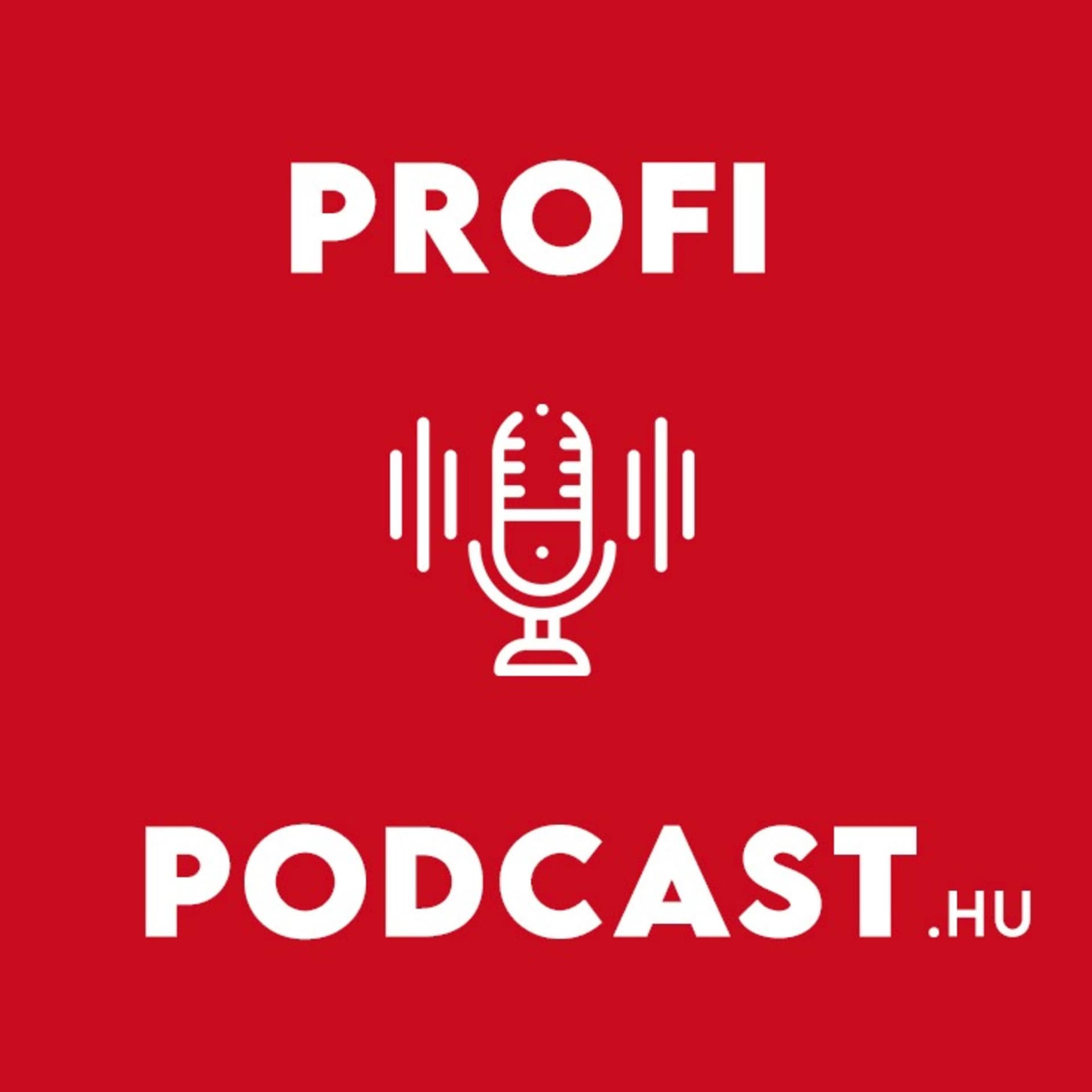 Szólítsd meg vevőidet Profi Podcast-tel! | Váltsd pénzre a hanganyagot! │kkv marketing tartalmak - Podcasts