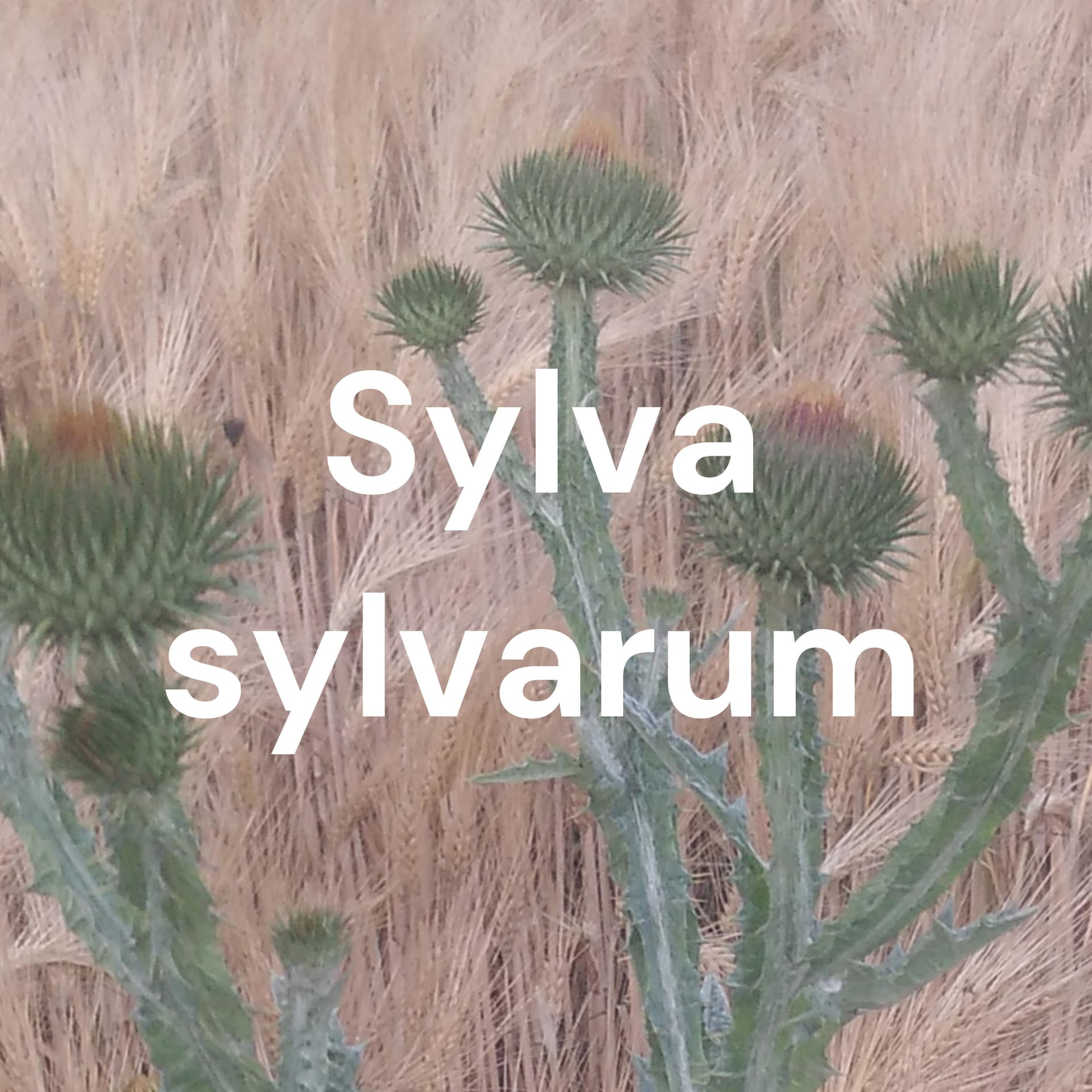 Sylva sylvarum - Podcasts