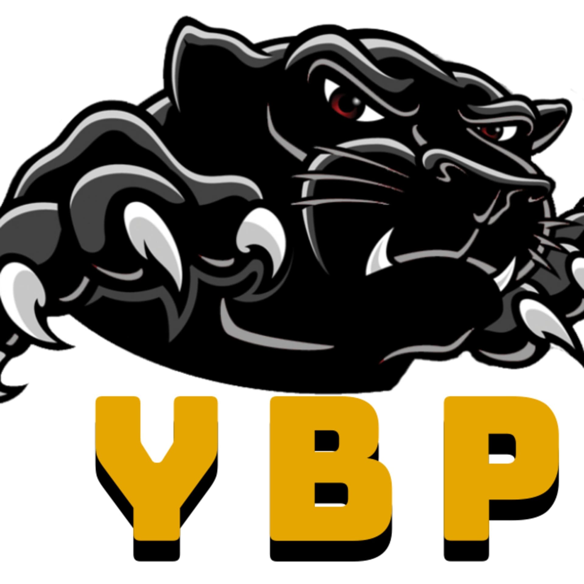 The Young Black Panthers Network - Podcasts