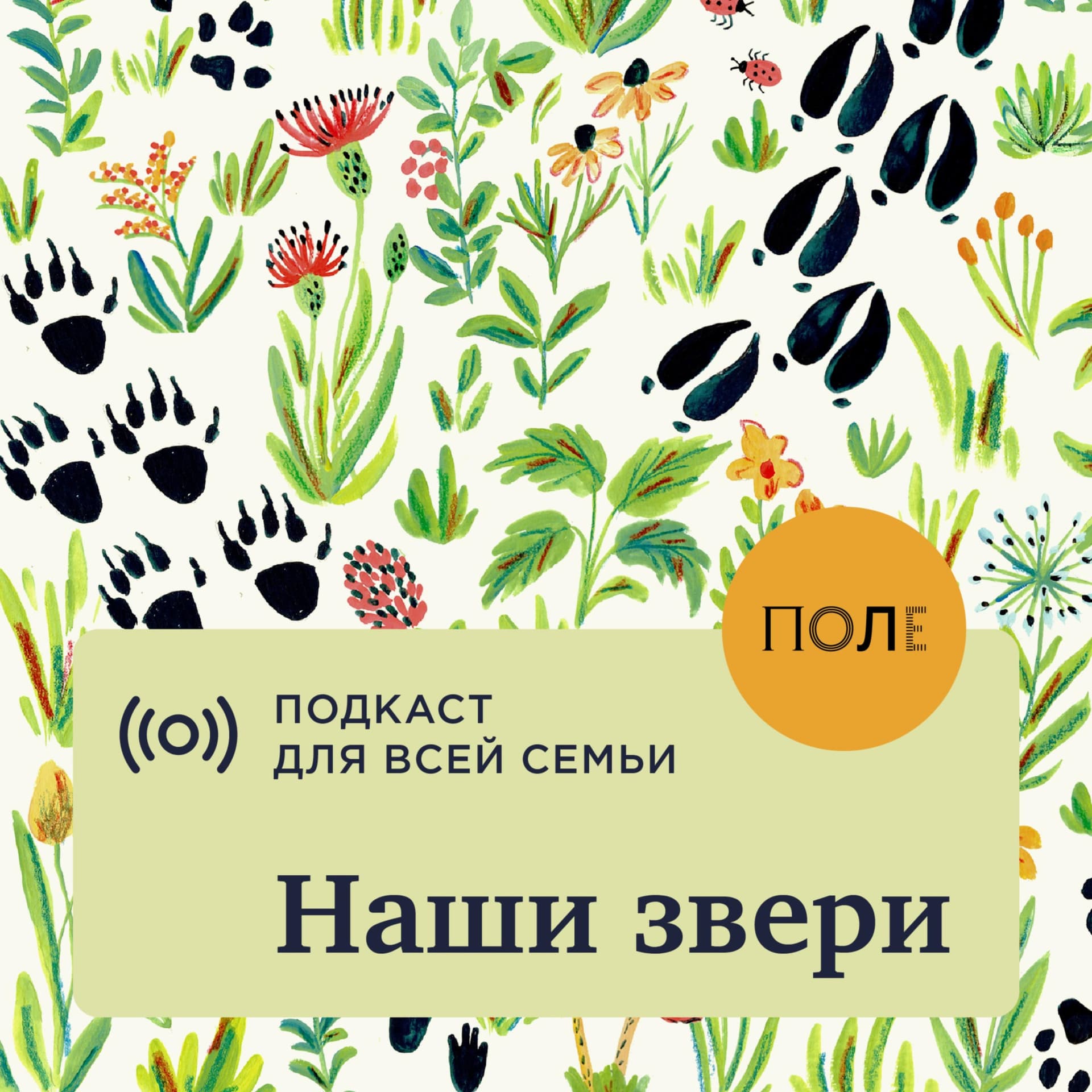Наши звери