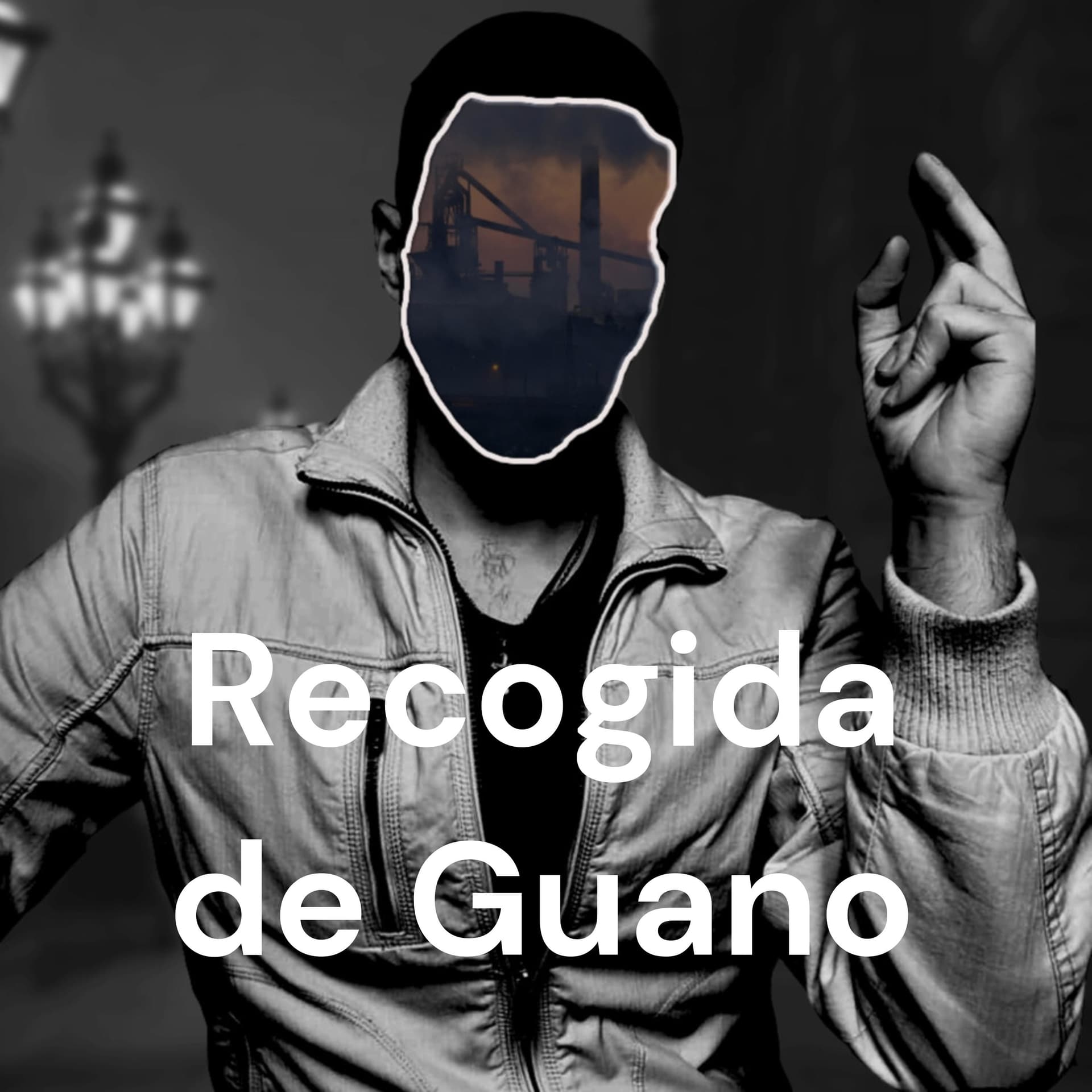 Recogida de Guano