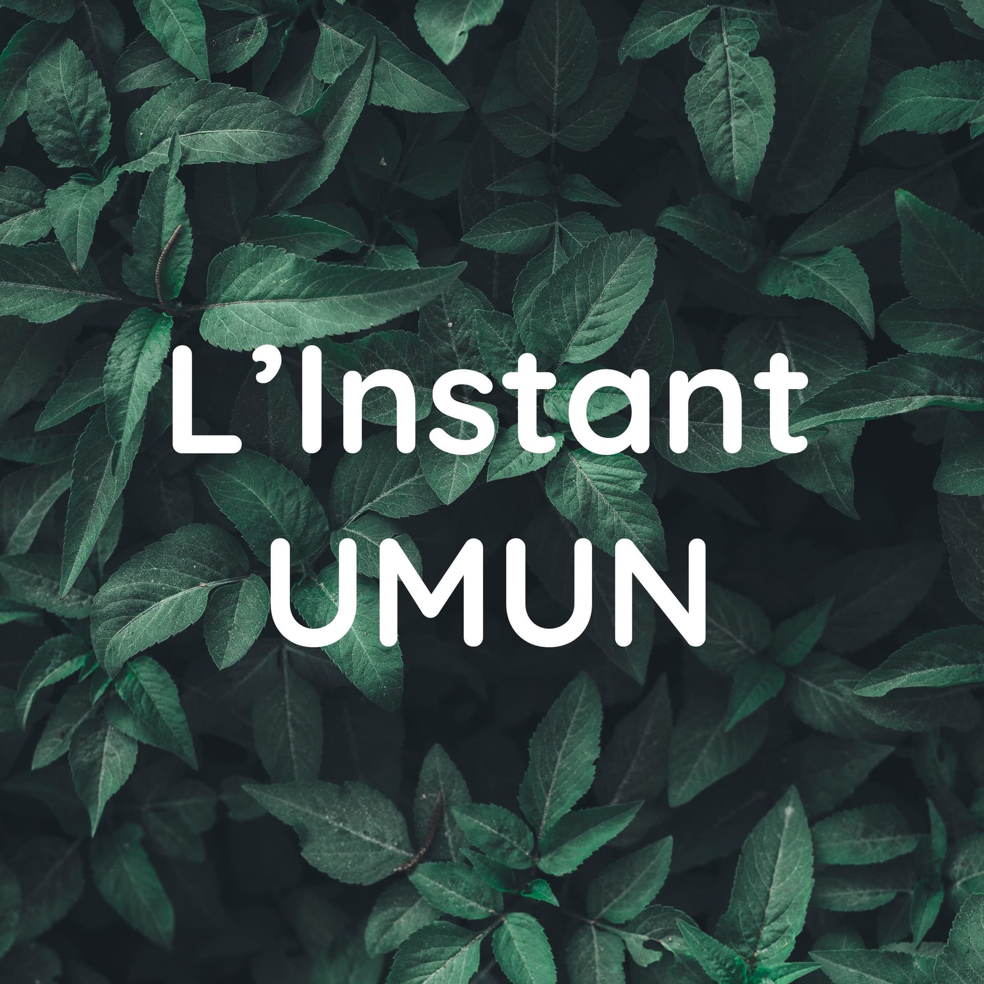 L'Instant UMUN - Podcasts