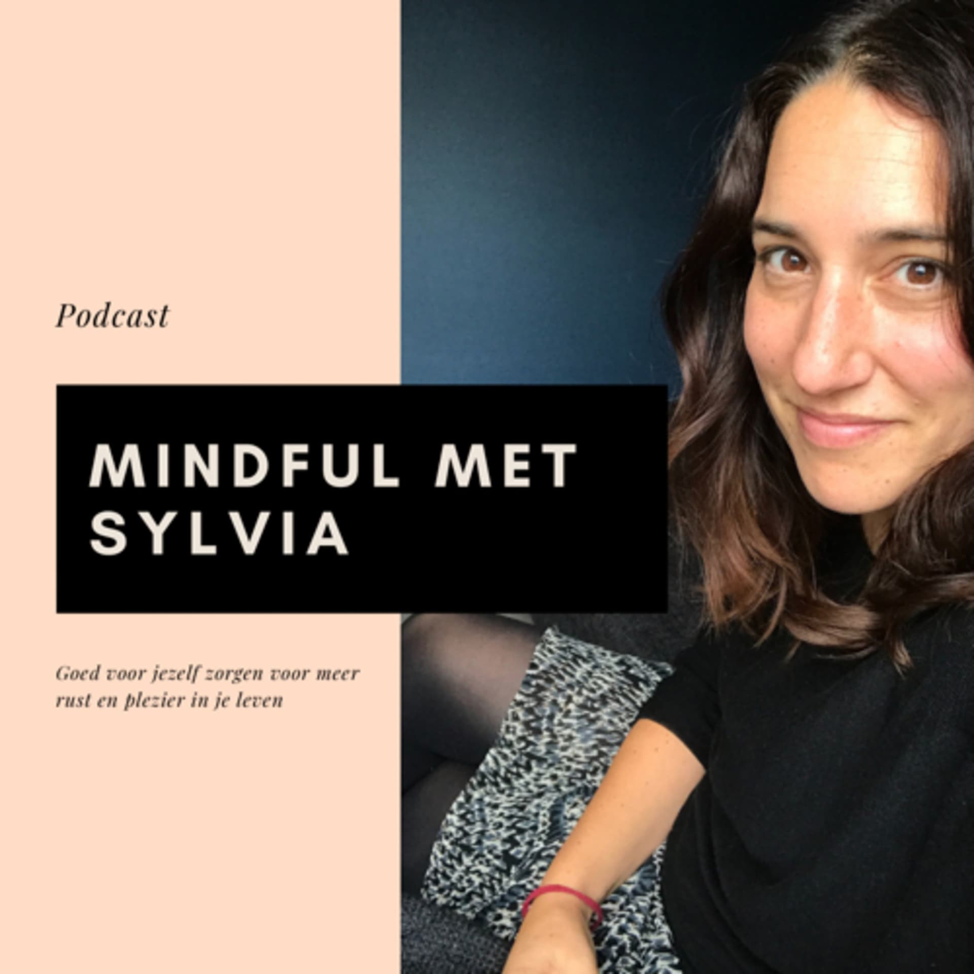 Mindful Met Sylvia - Podcasts