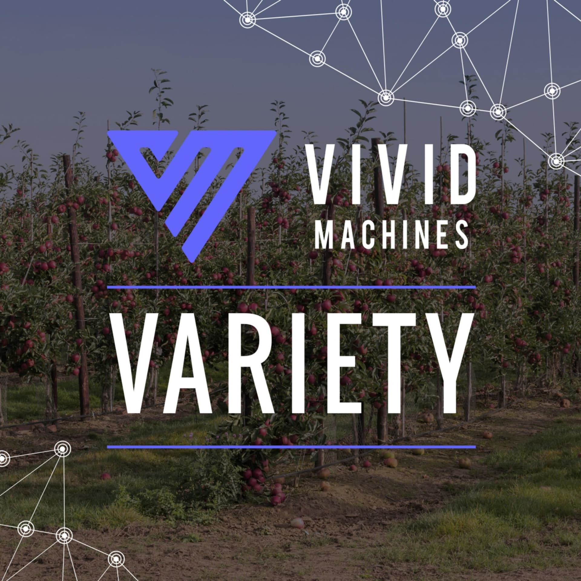 Vivid Machines Variety - Podcasts