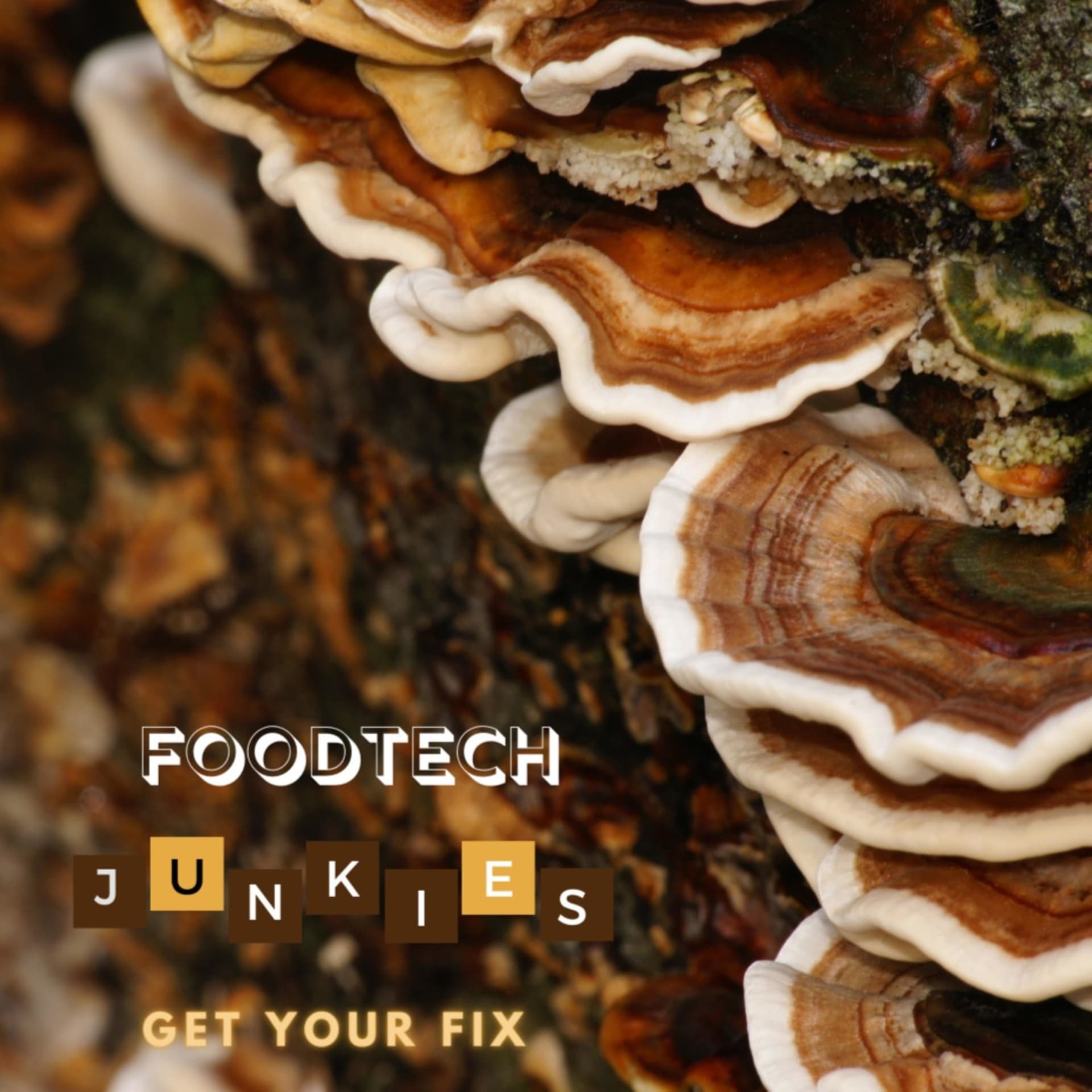 FoodTech Junkies - Podcasts