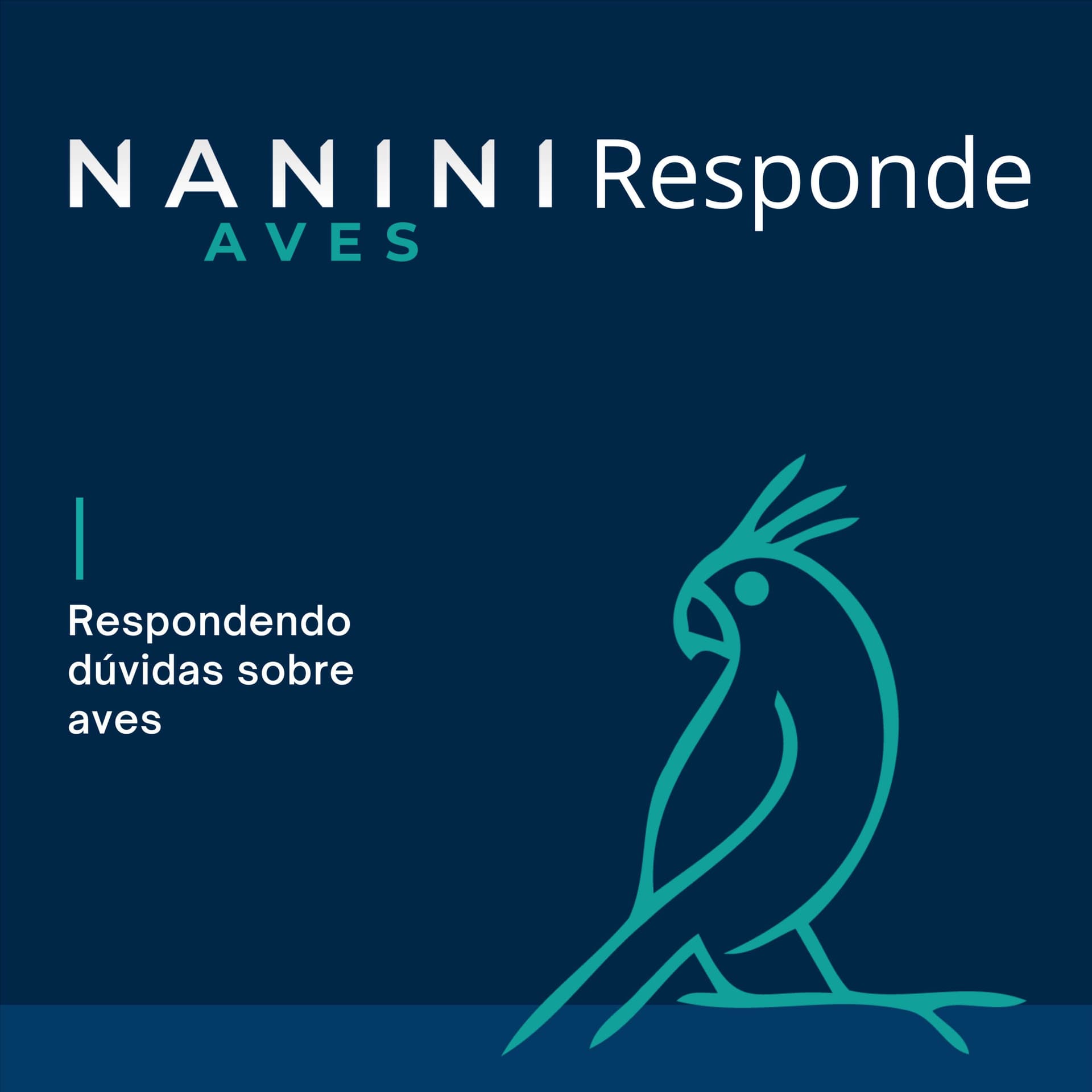 Nanini Aves Responde