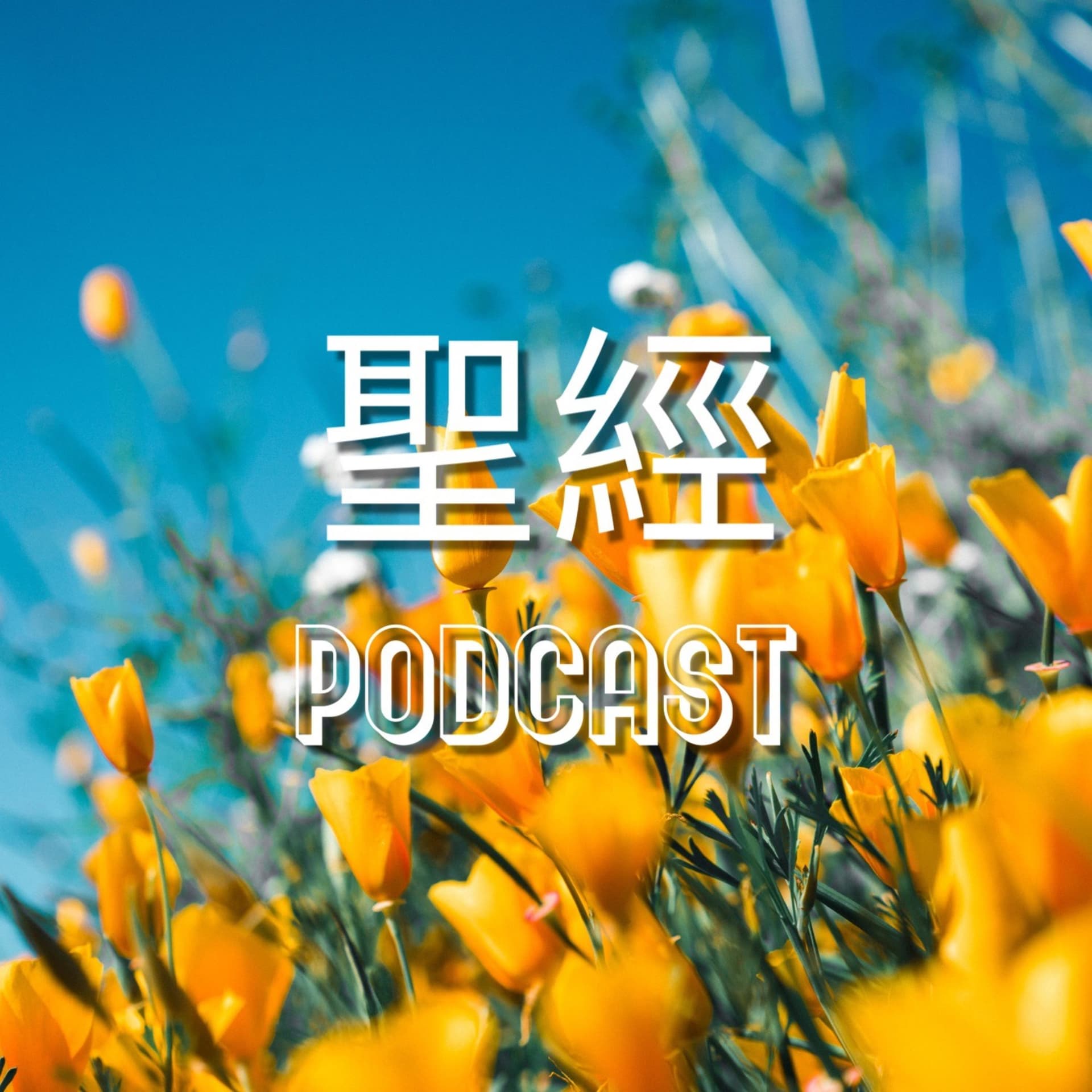 沒有聽過 的 聖經 靈魂 學習 - Podcasts