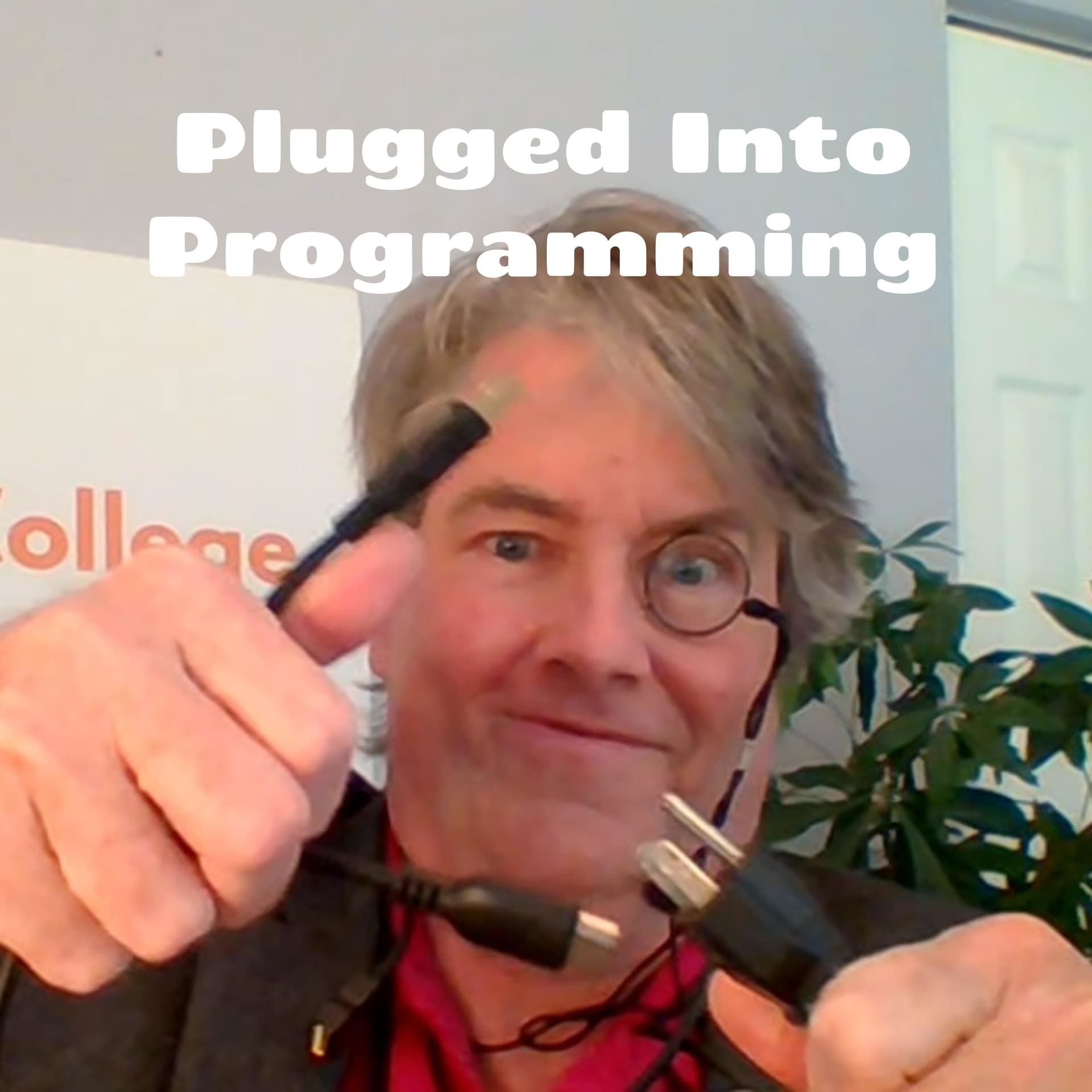 Plugged Into Programming - From WordPress Plugins To Micro SaaS - Podcast
