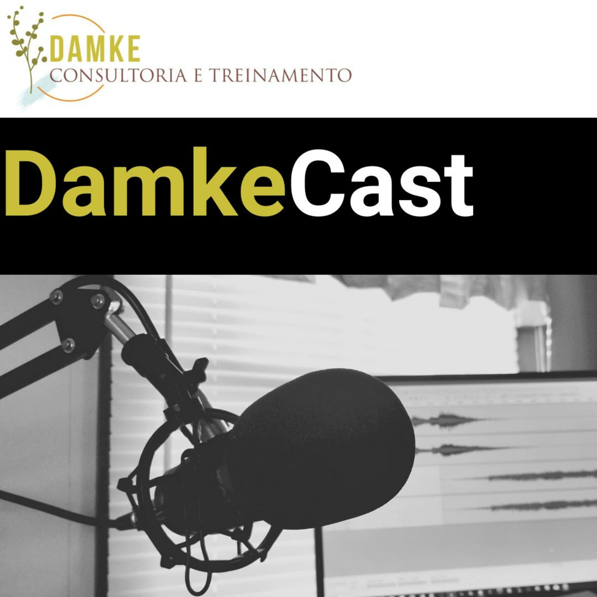 Damke Consultoria e Treinamento - Podcasts