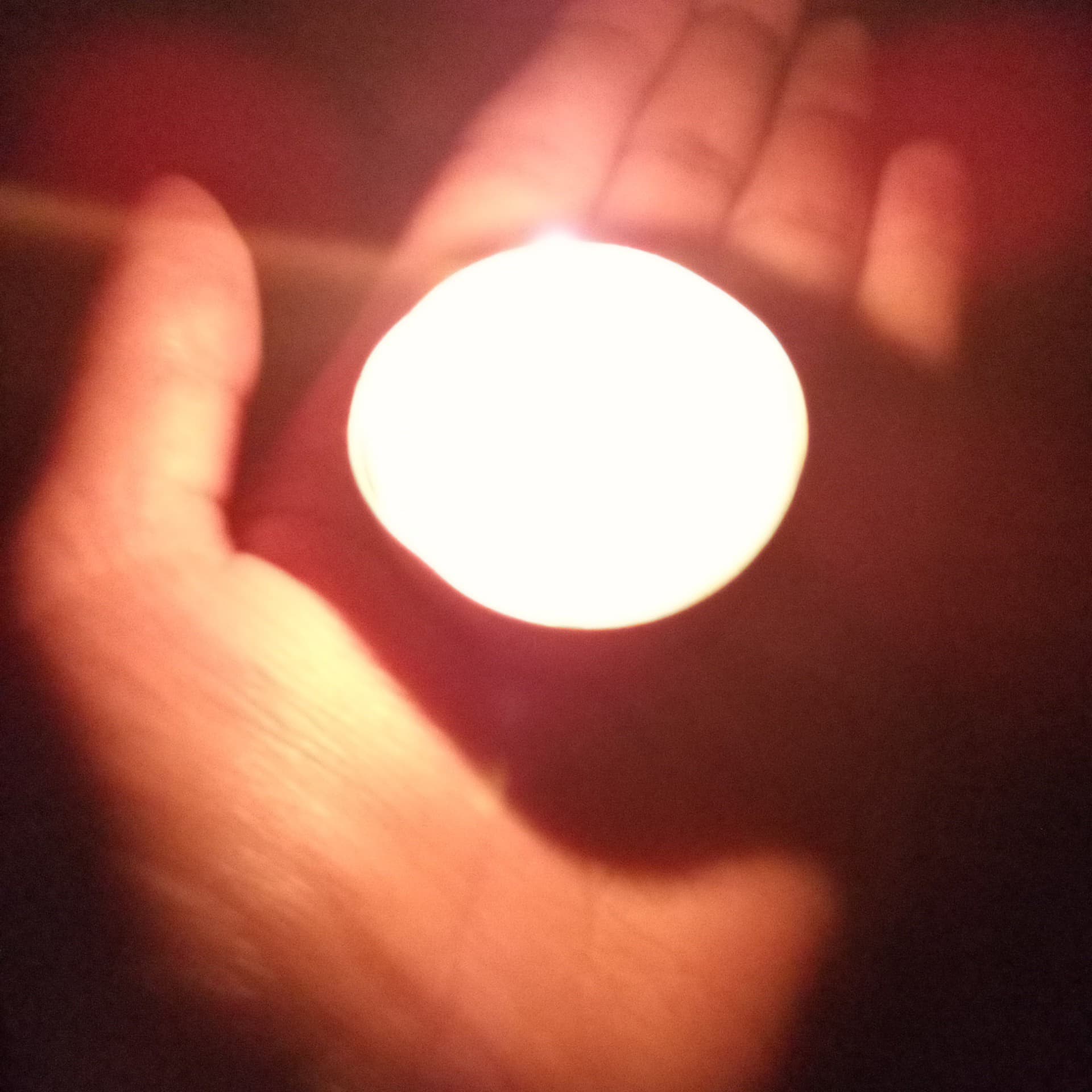 *Angel In The Light*