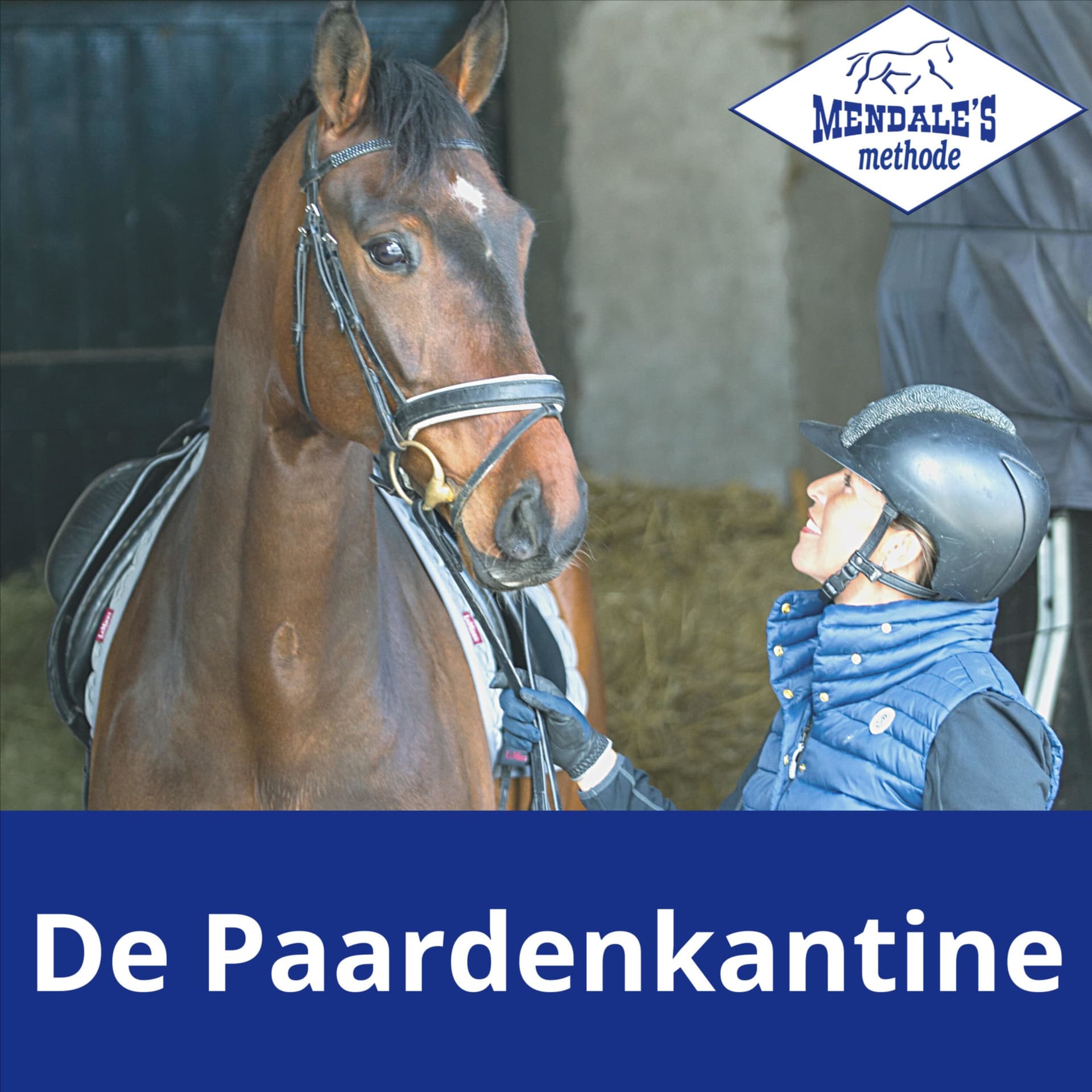 De Paardenkantine - Podcasts