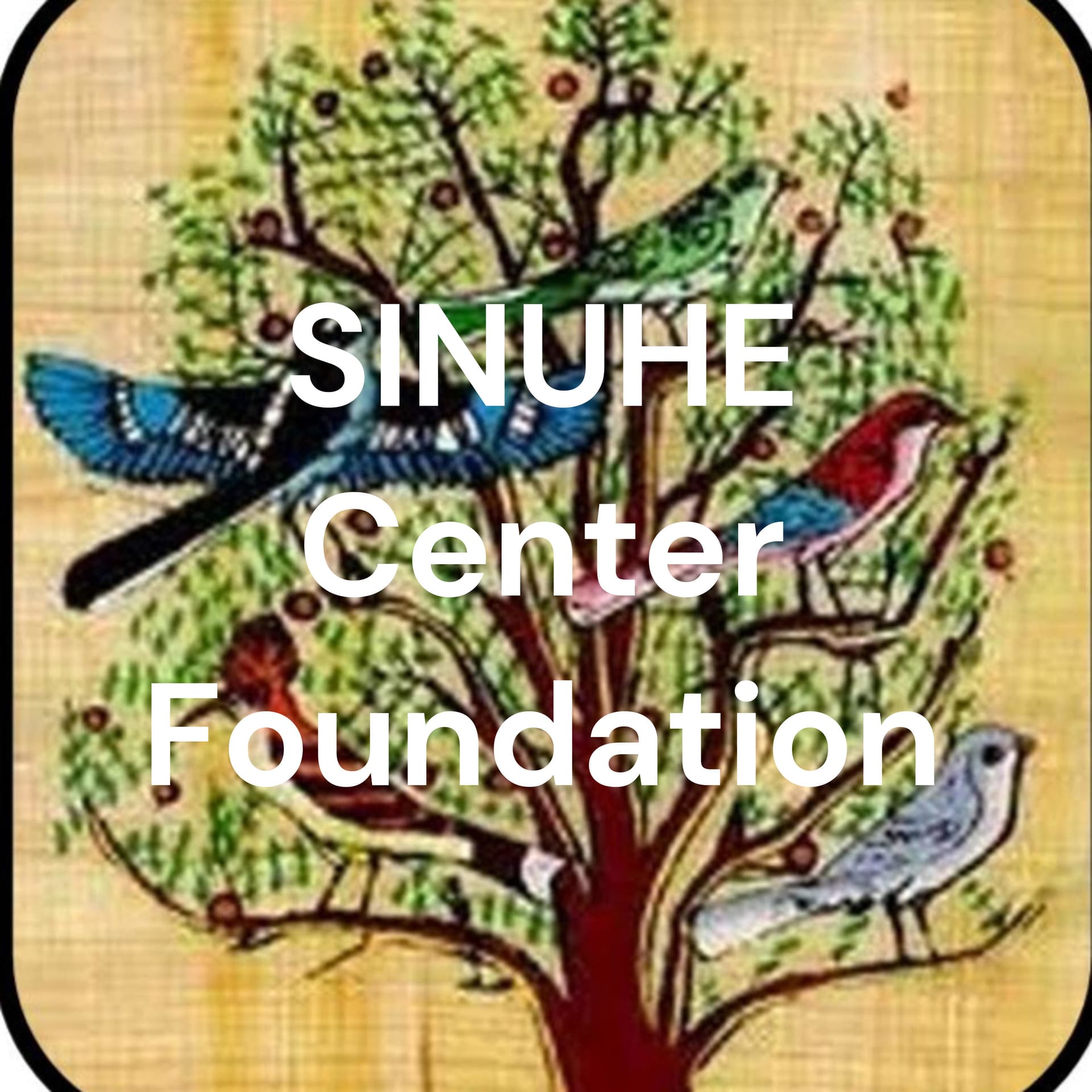 SINUHE Center Foundation