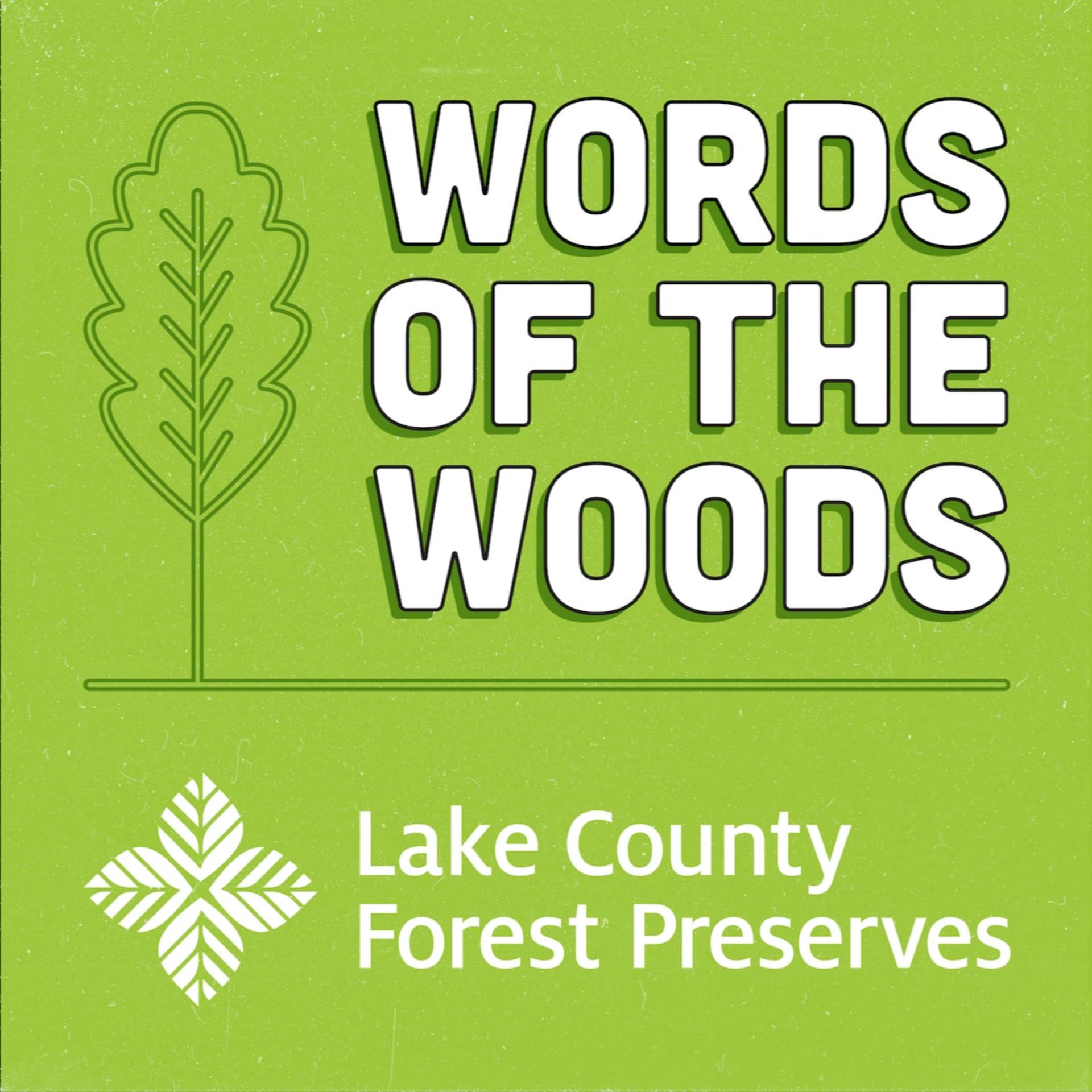 Words of the Woods - Podcasts