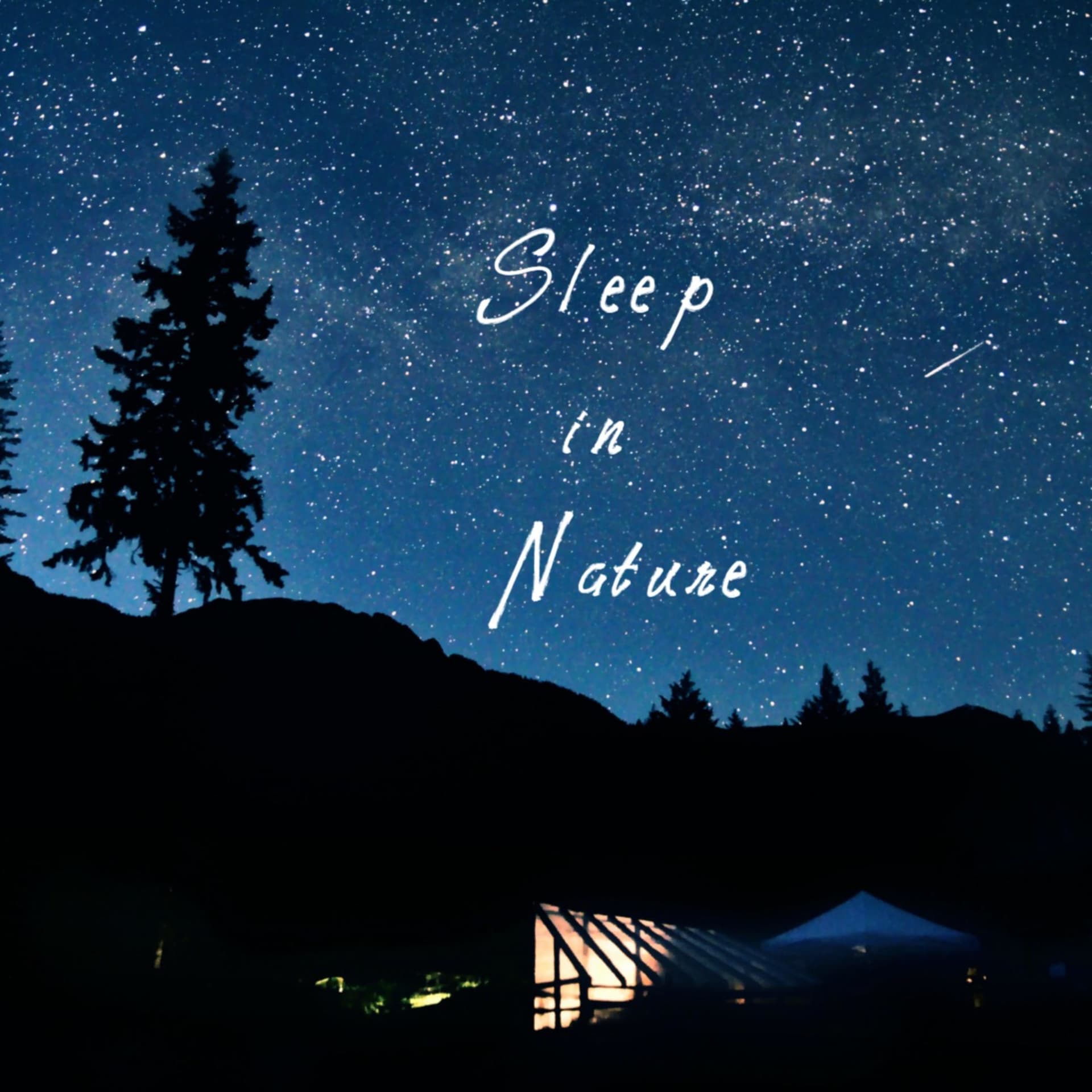 Sleep in Nature: Soundscapes for relaxation and meditation - Podcasts