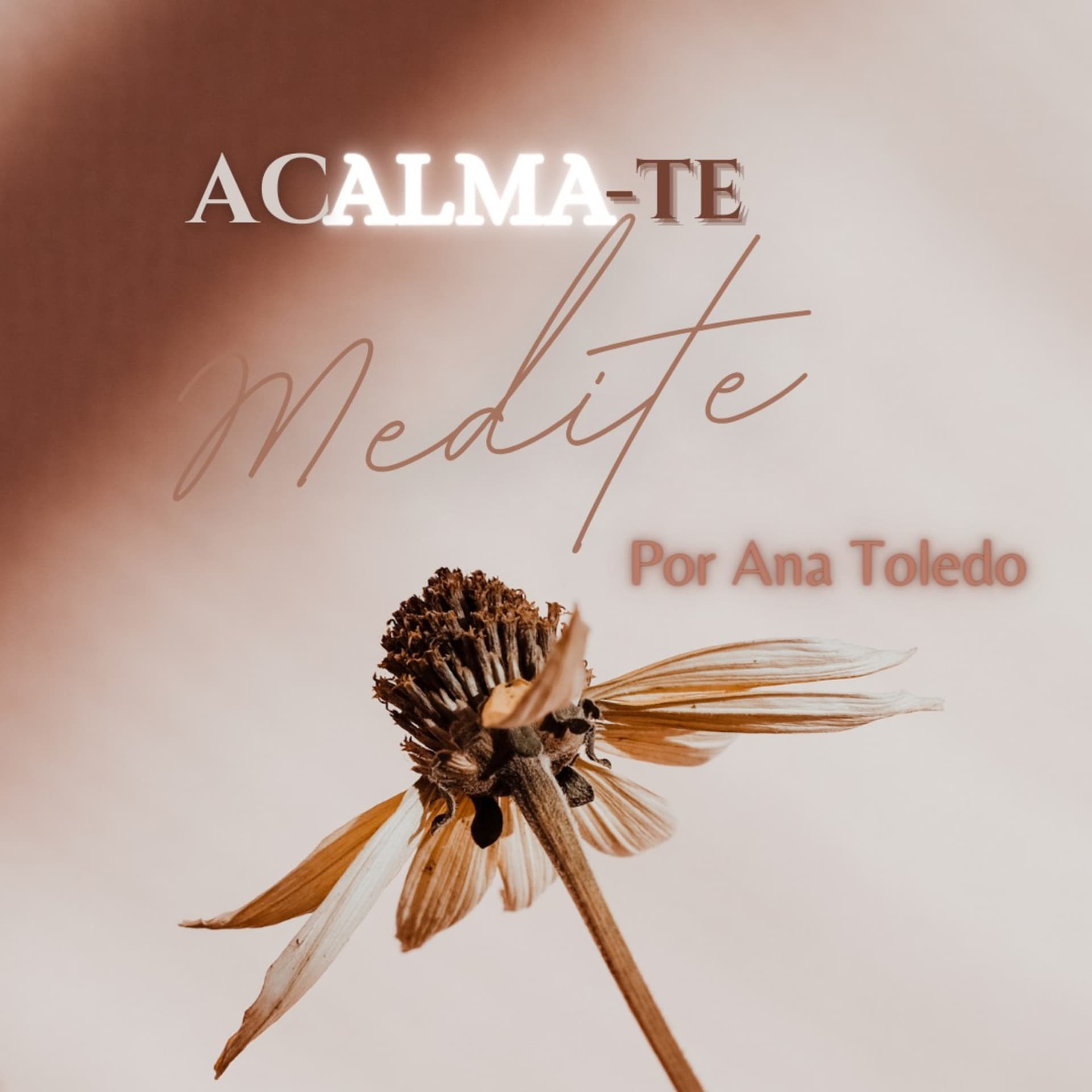 ACALMA-TE - Meditações com Ana Toledo - Podcasts