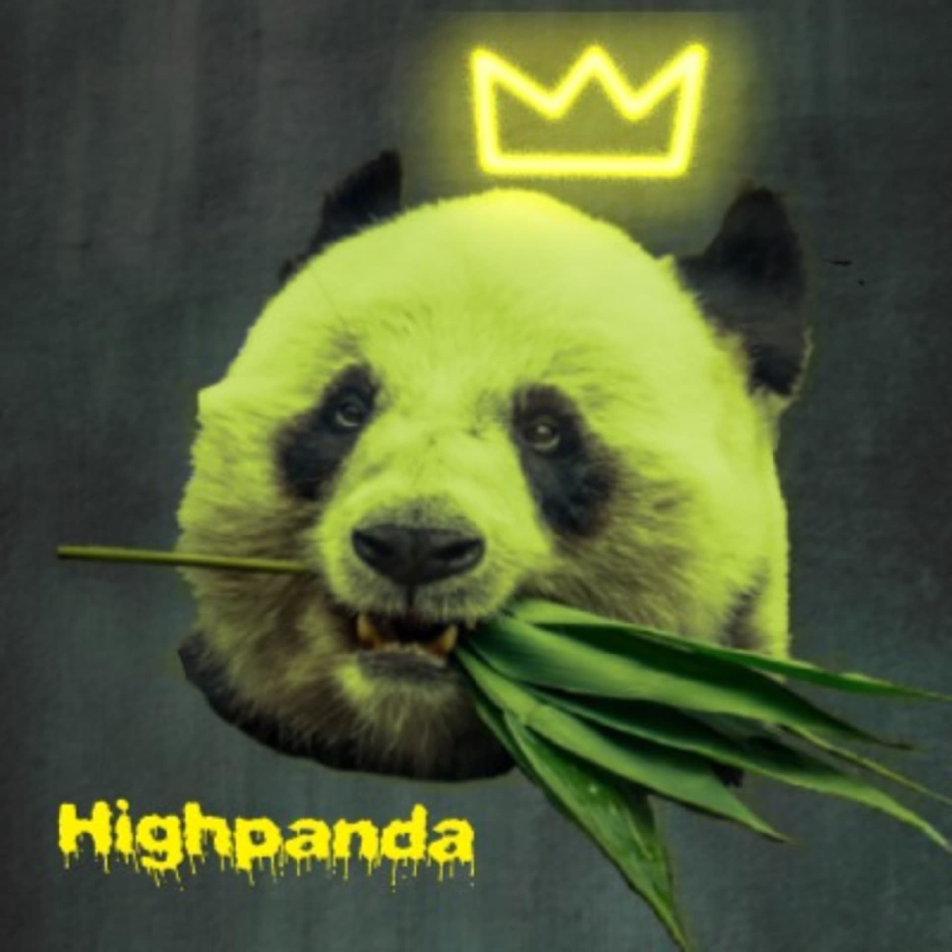 Highpanda - Podcasts
