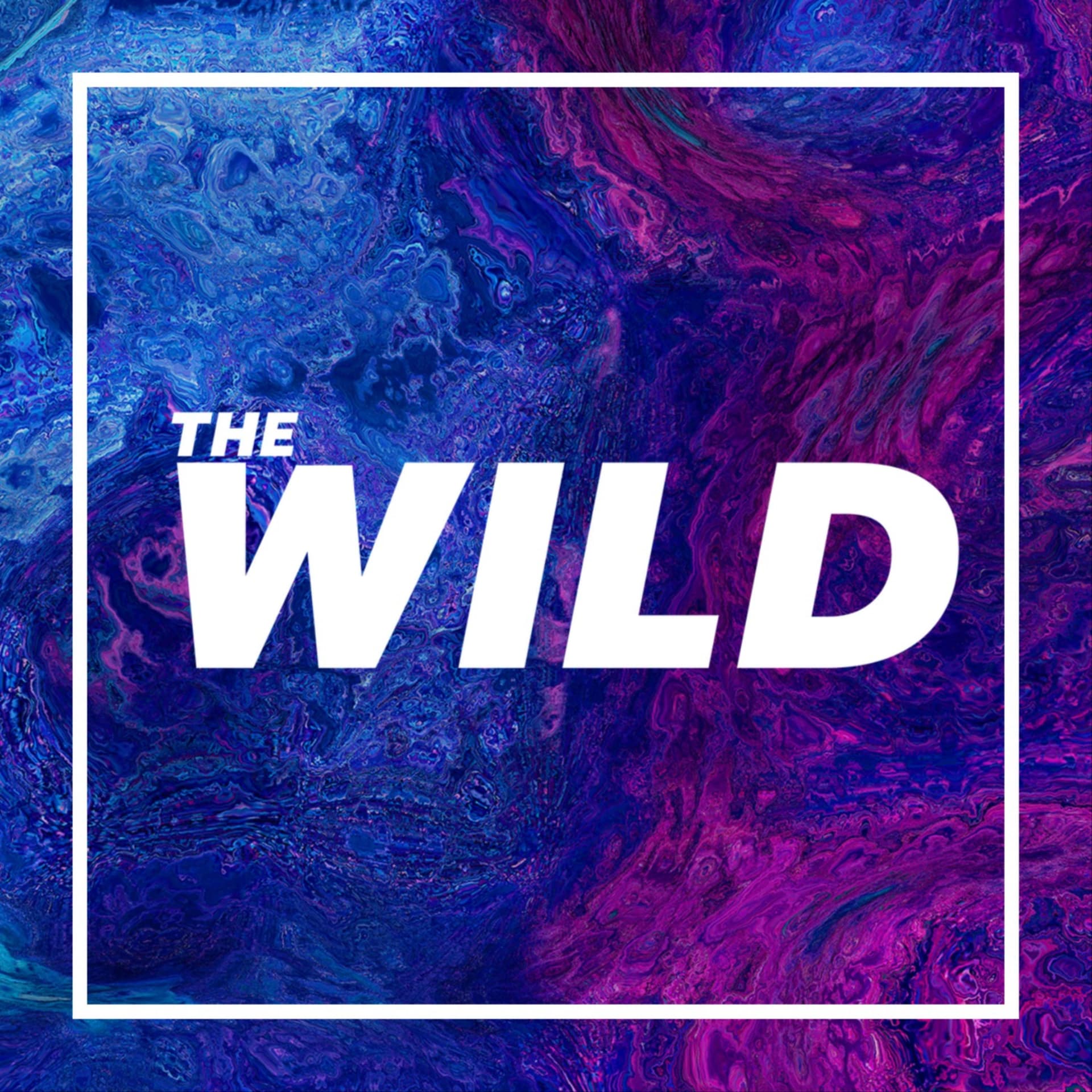 The Wild Youth Podcast - Podcasts