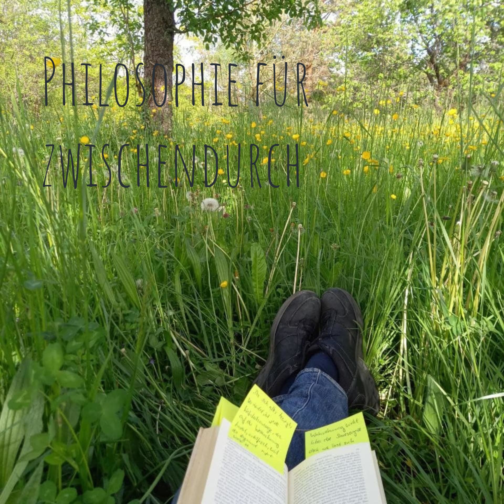 Philosophie für zwischendurch - Podcast