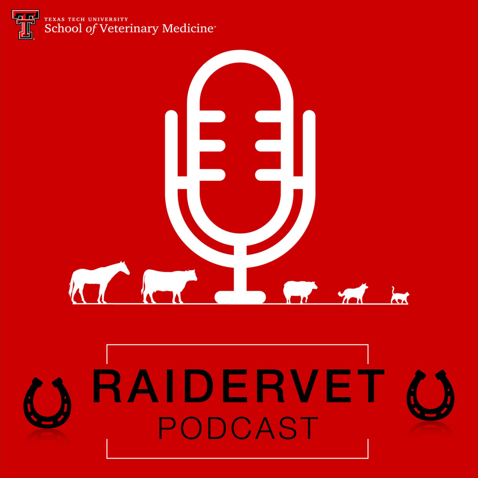 RaiderVet Podcast - Podcasts