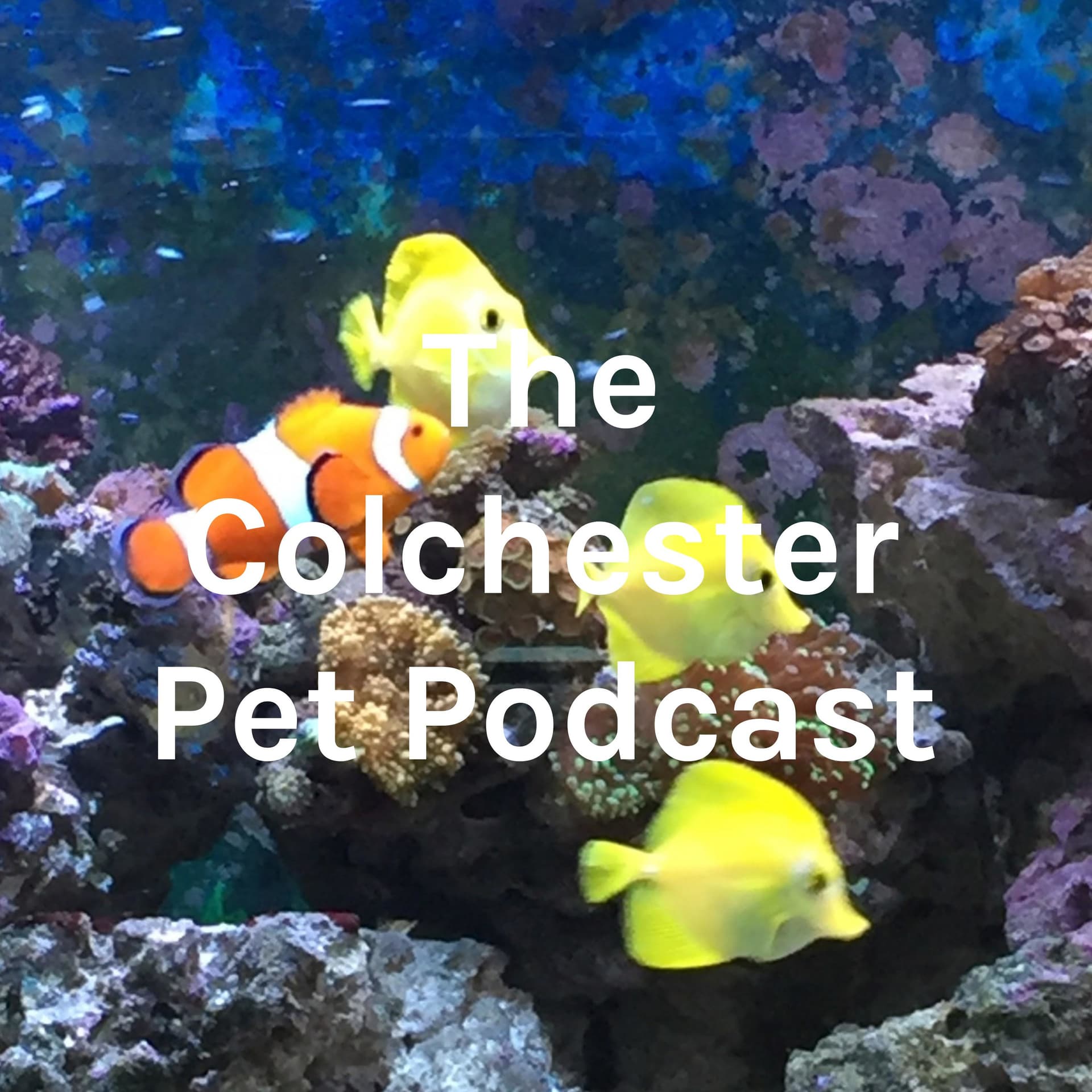 Fish R Friends Podcast - Podcasts