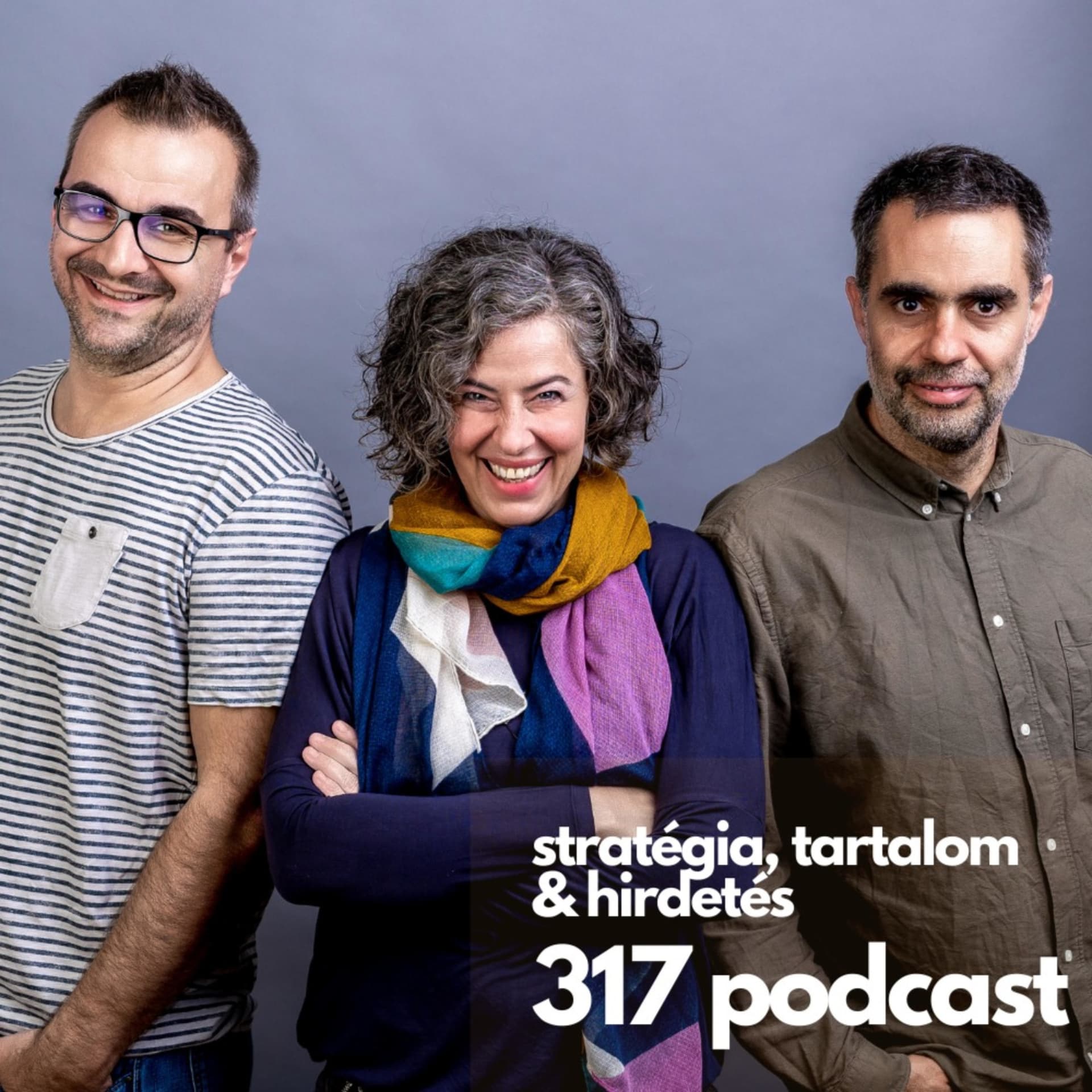 317 podcast - Podcasts