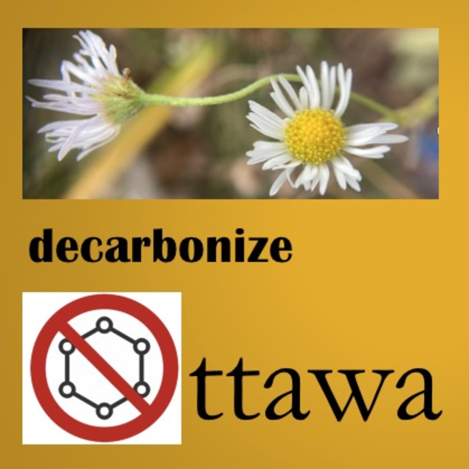 Decarbonize Ottawa