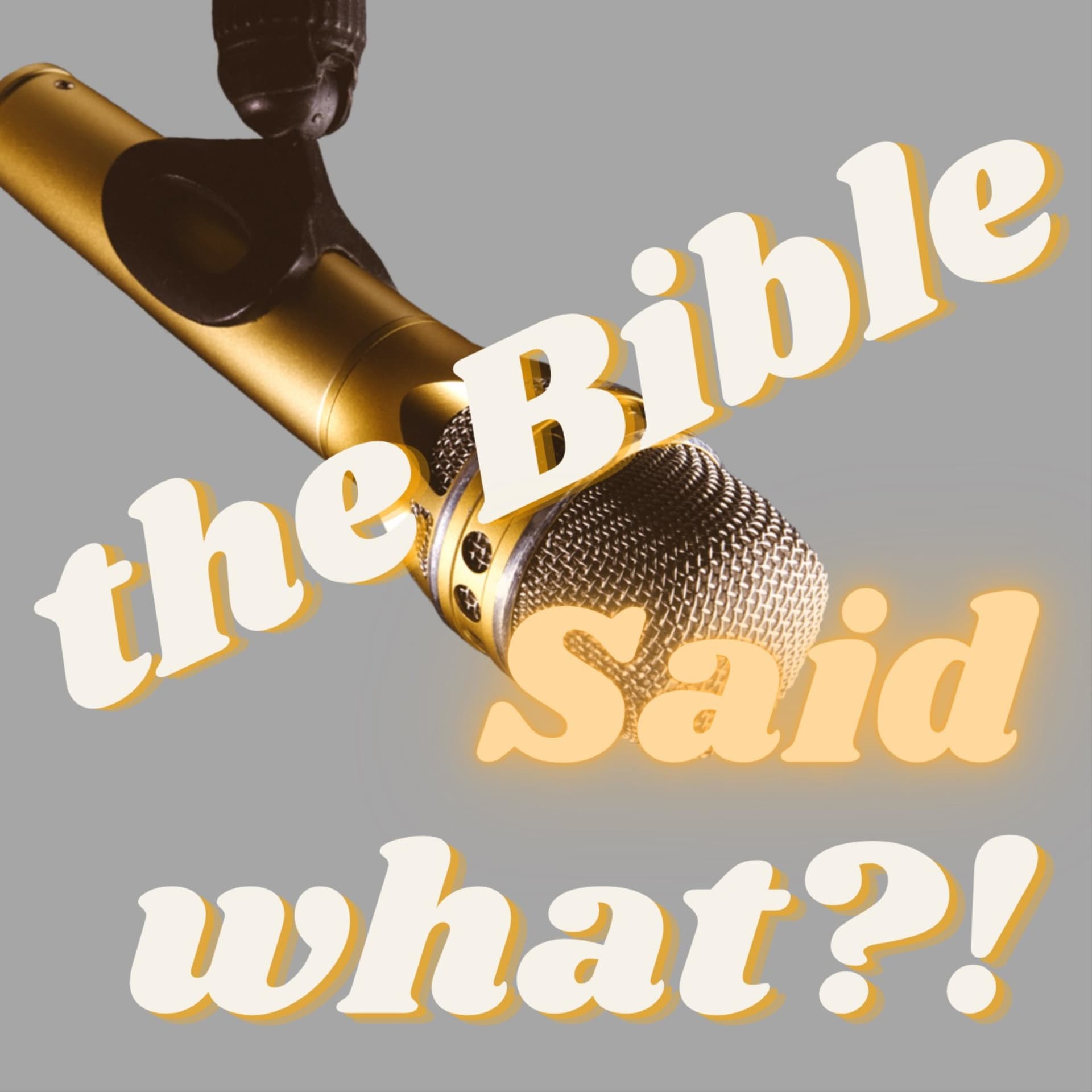the Bible Said what!? - Podcasts