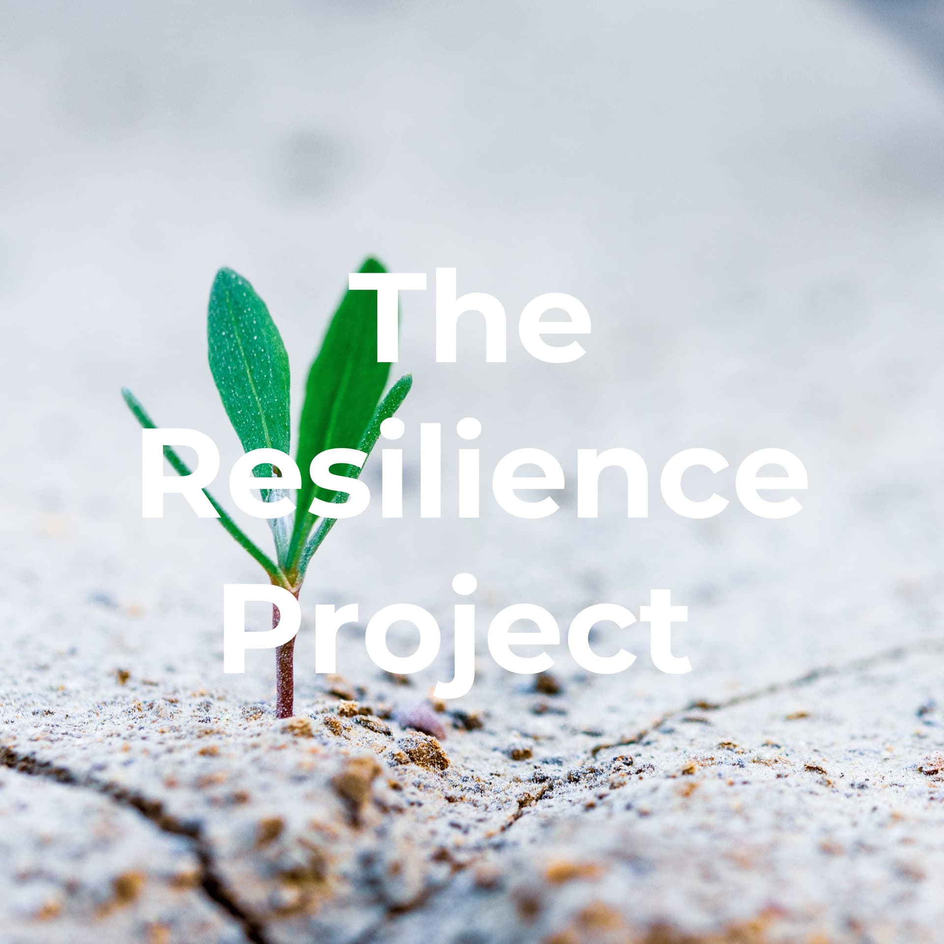 The Resilience Project - Podcasts